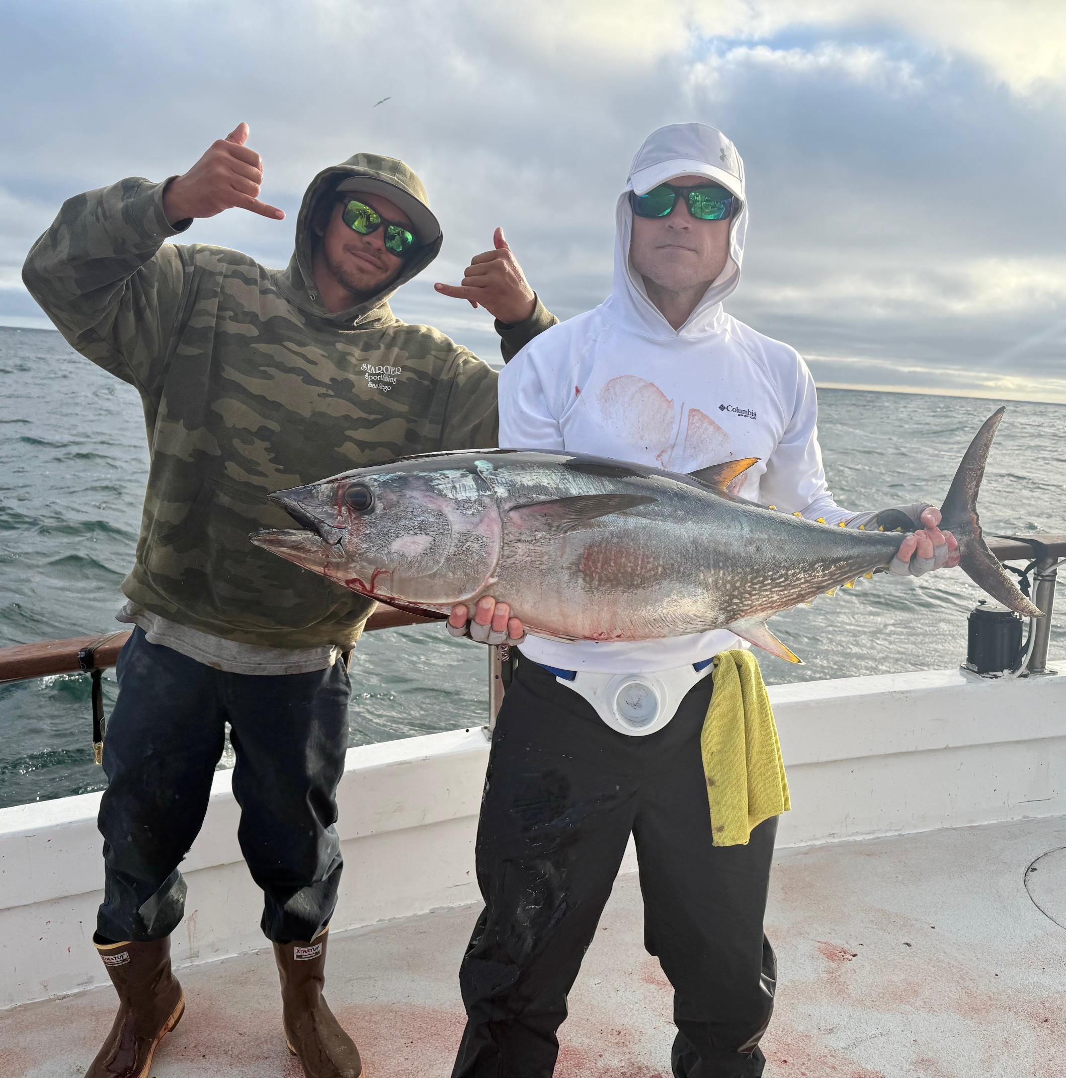 Bluefin Tuna Fishing Bluefin Tuna Fishing