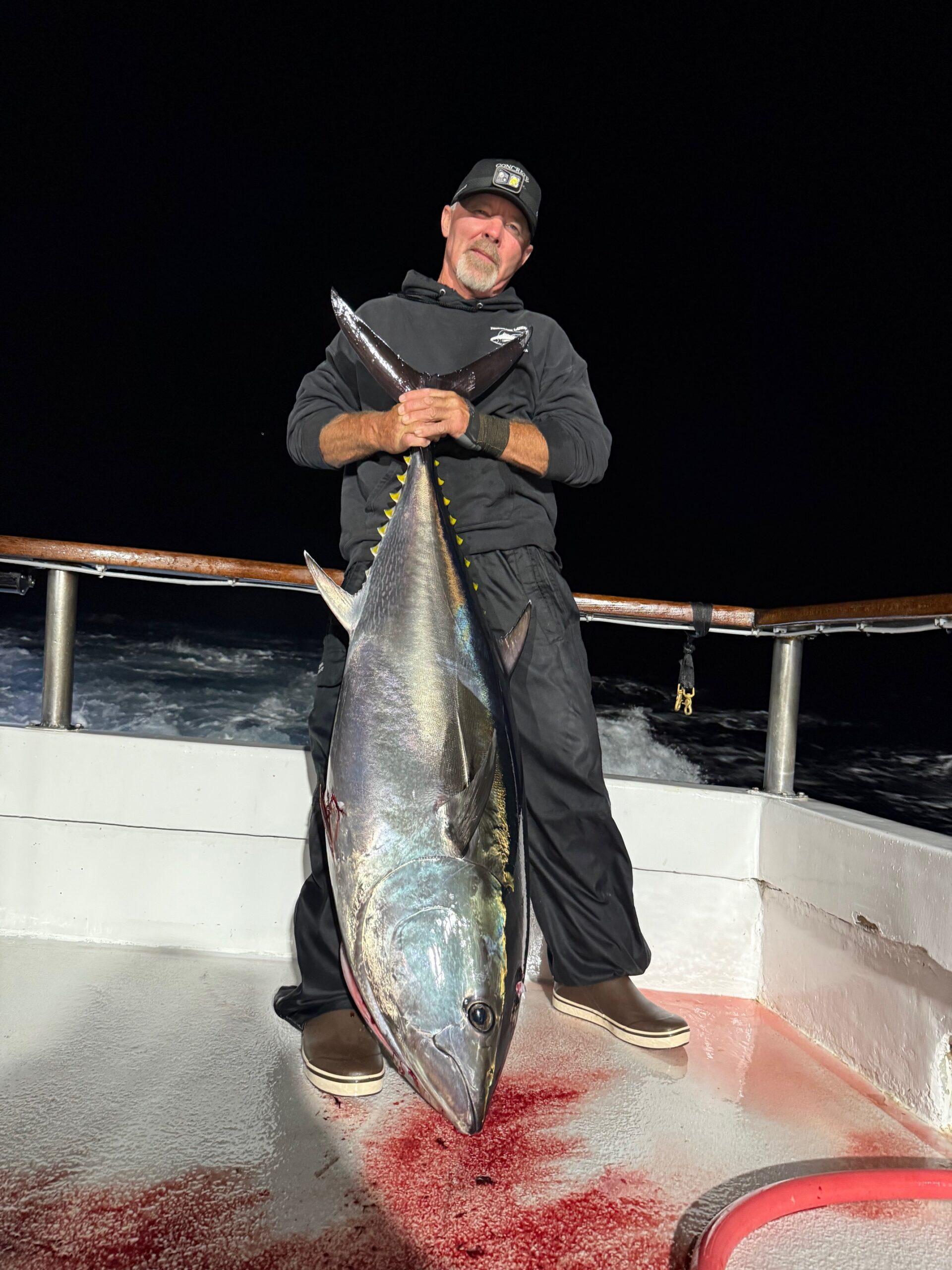 Bluefin Night Fishing