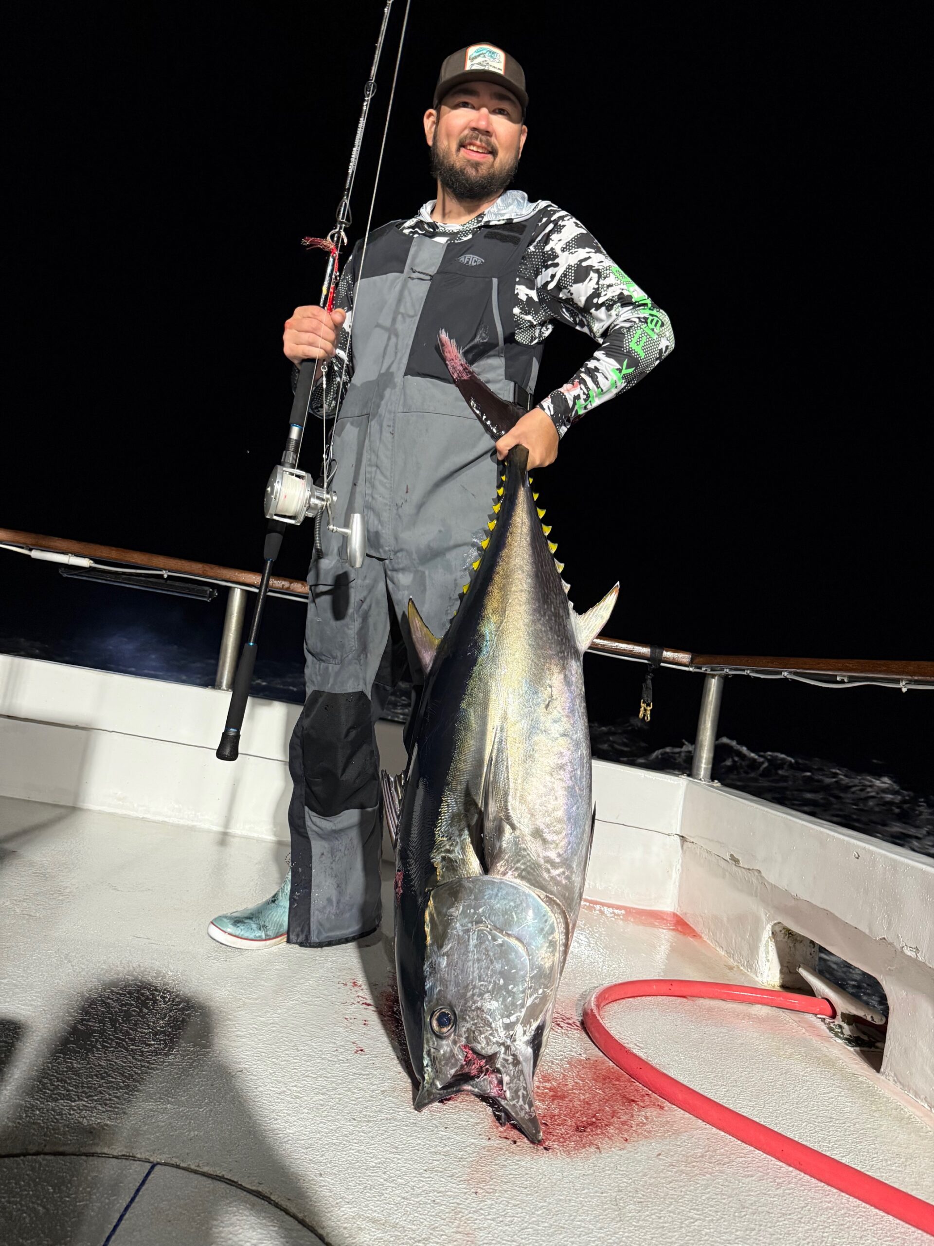 Bluefin Night Fishing