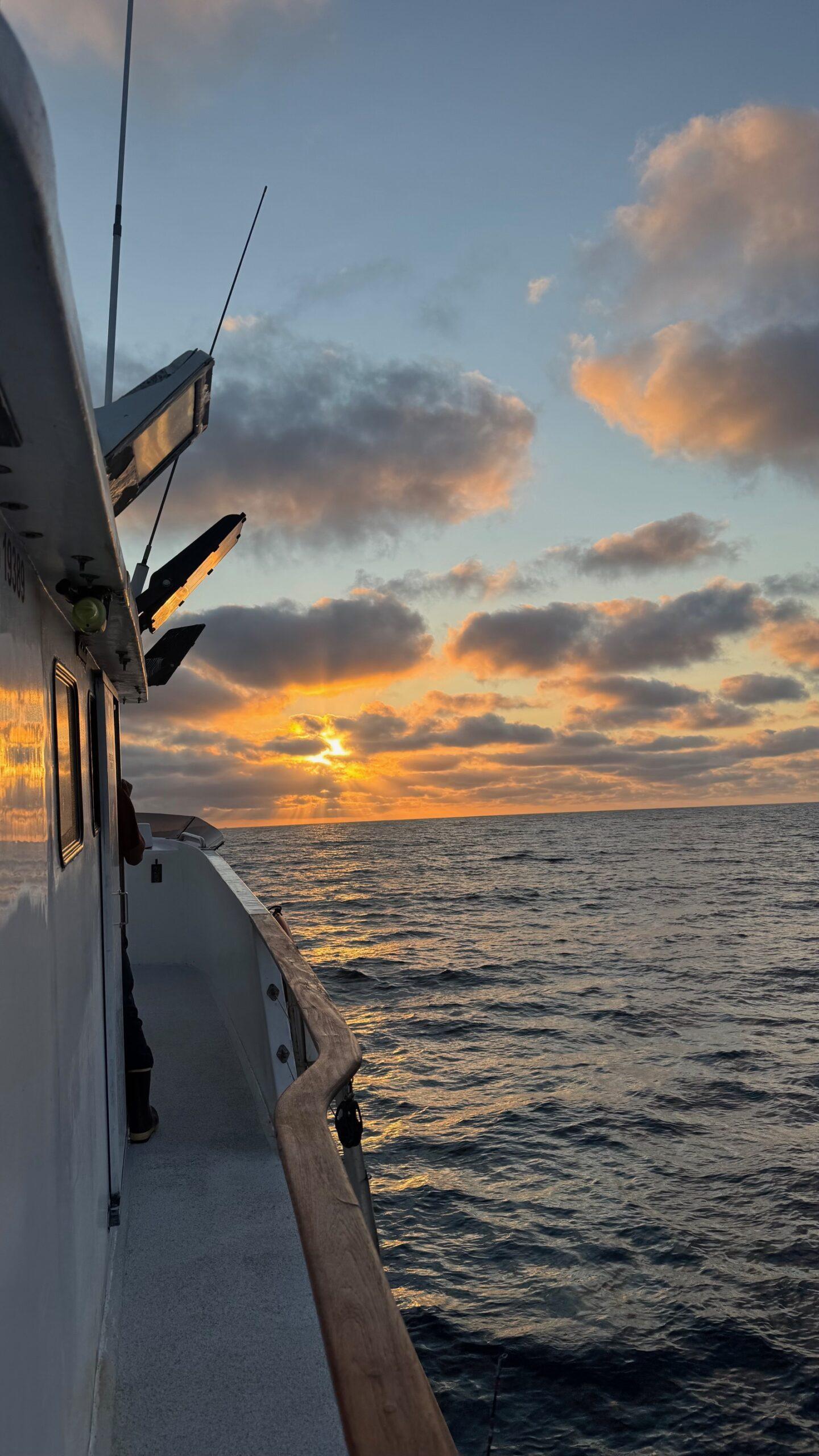 Sunset Sunset