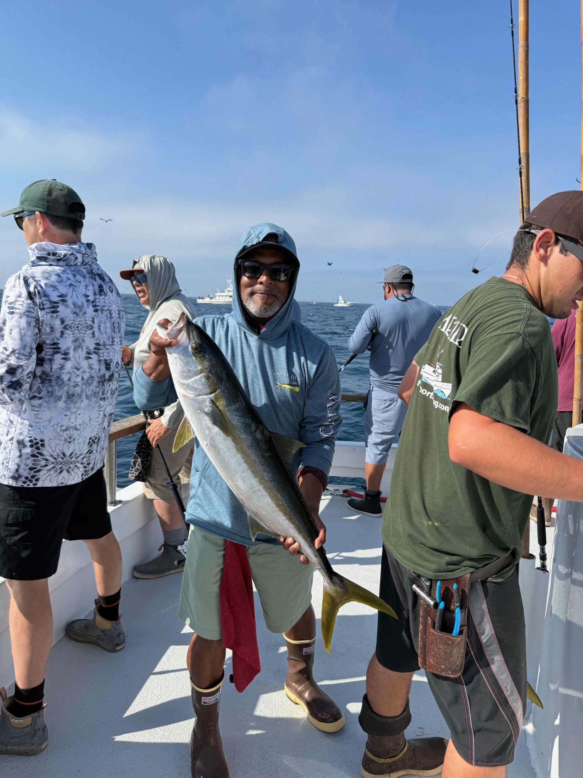 Yellowtail Fishing Yellowtail Fishing