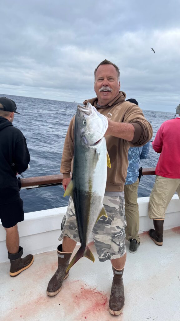 Yellowtail Fish
