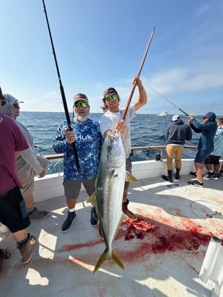 Yellowtail Fishing