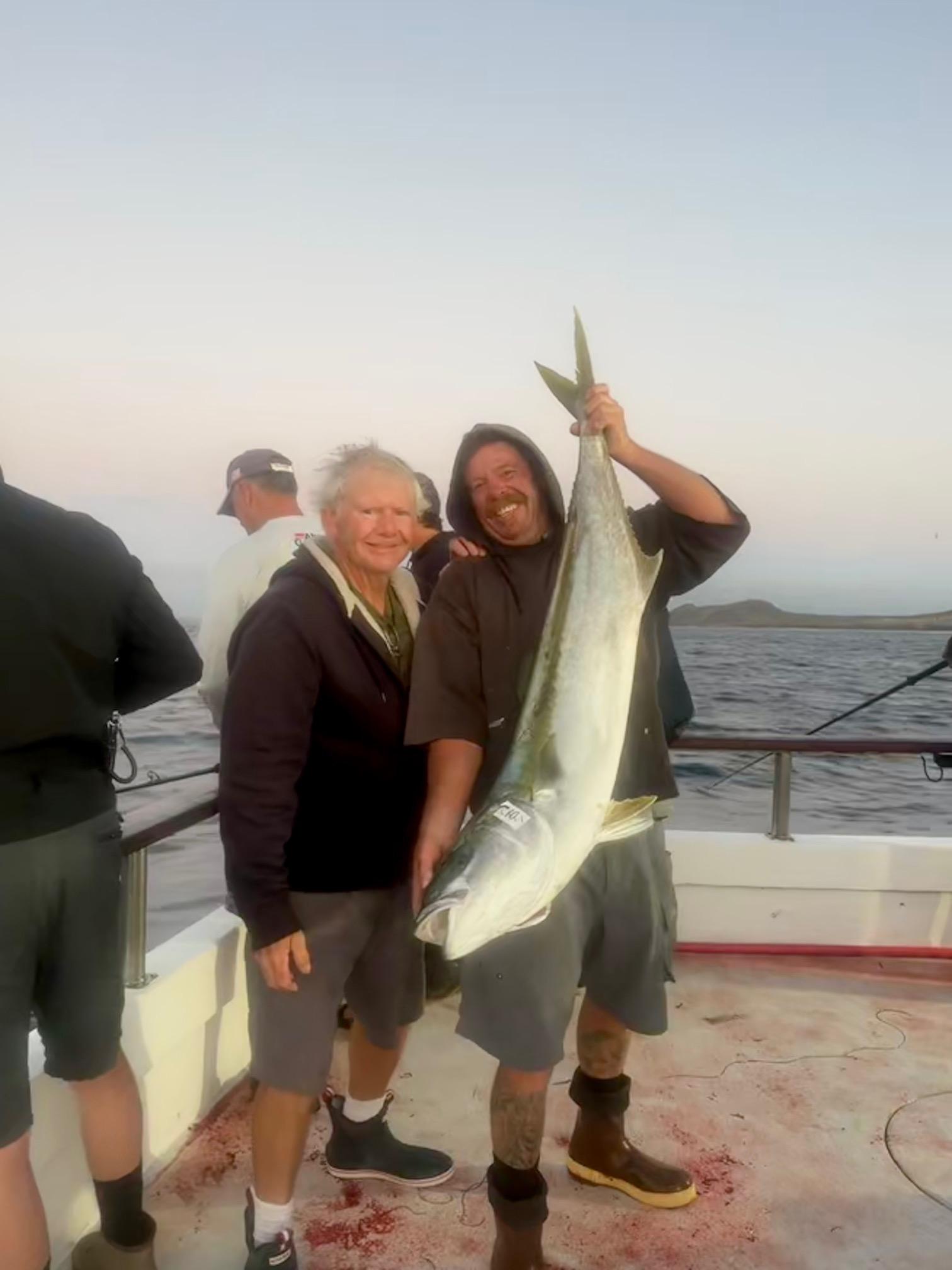 Yellowtail Yellowtail