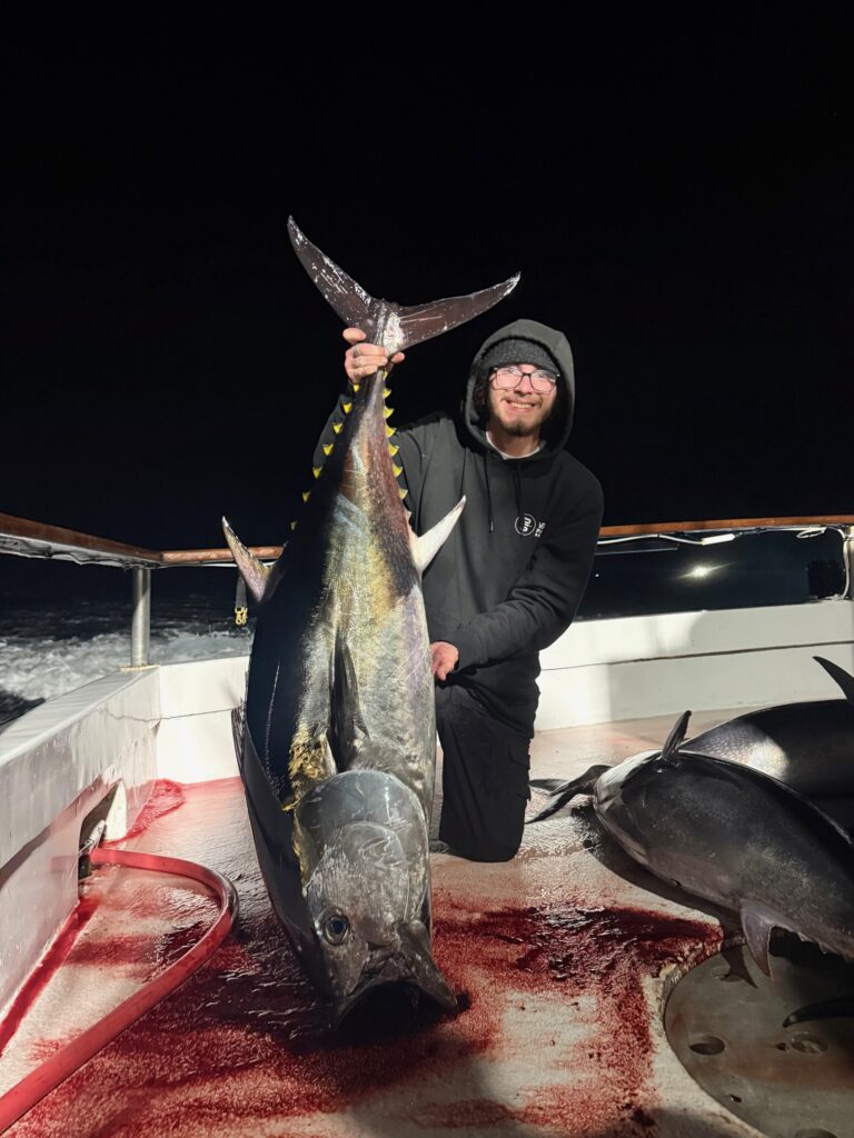 Bluefin Night Fishing