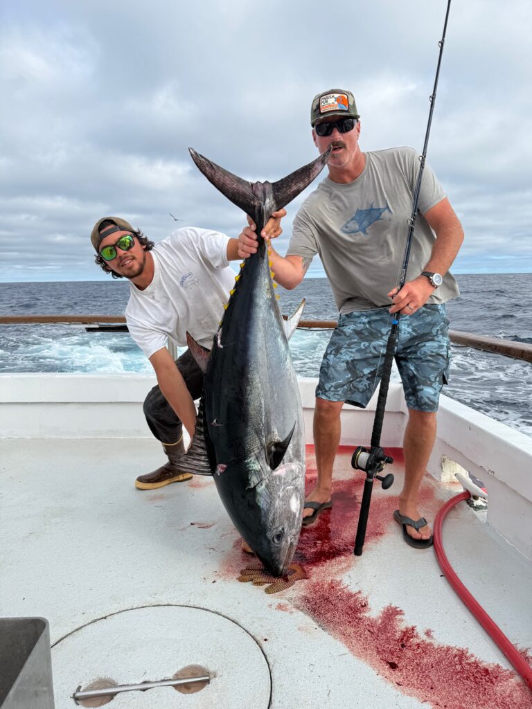 Bluefin Daytime Fishing