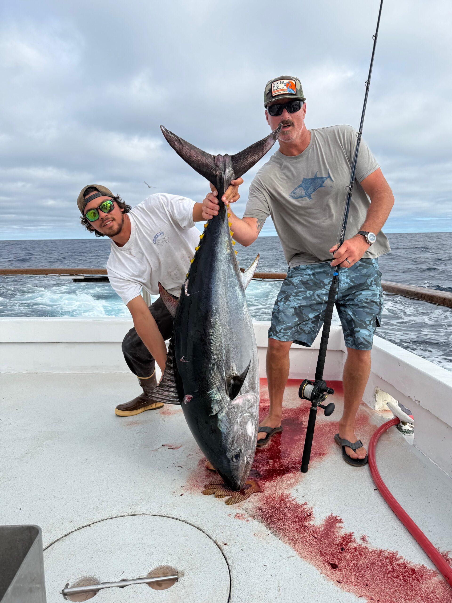 Bluefin Daytime Fishing