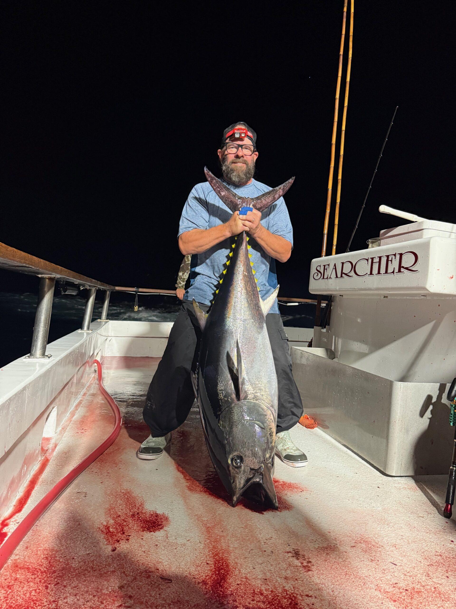Bluefin Night Fishing