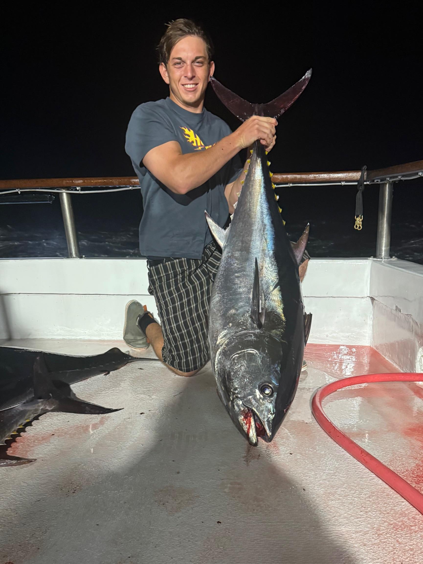 Bluefin Night Fishing