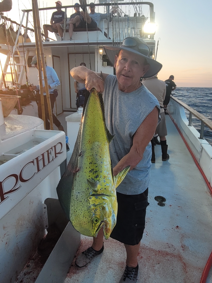 Dorado Dorado
