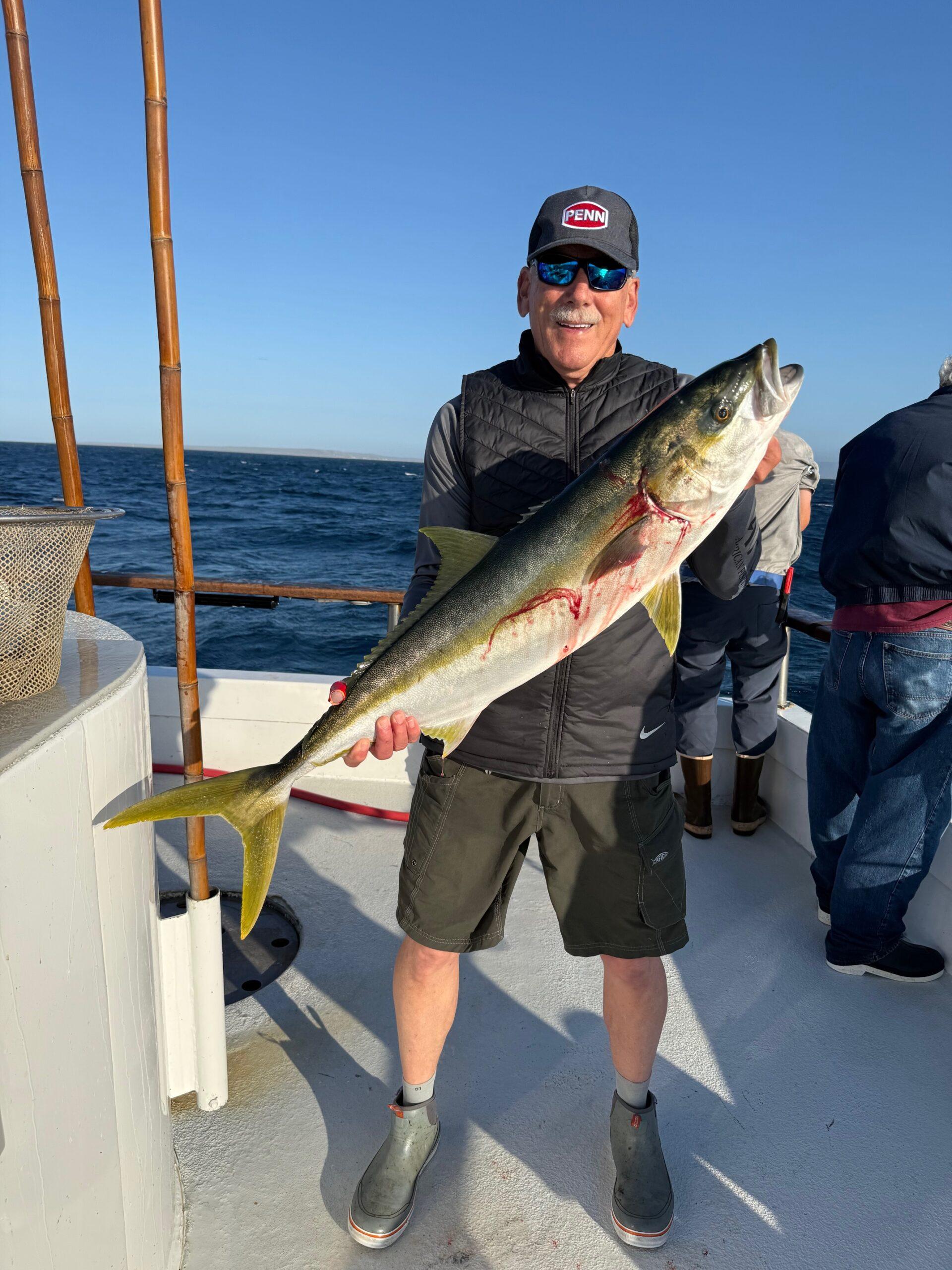 Yellowtail Yellowtail