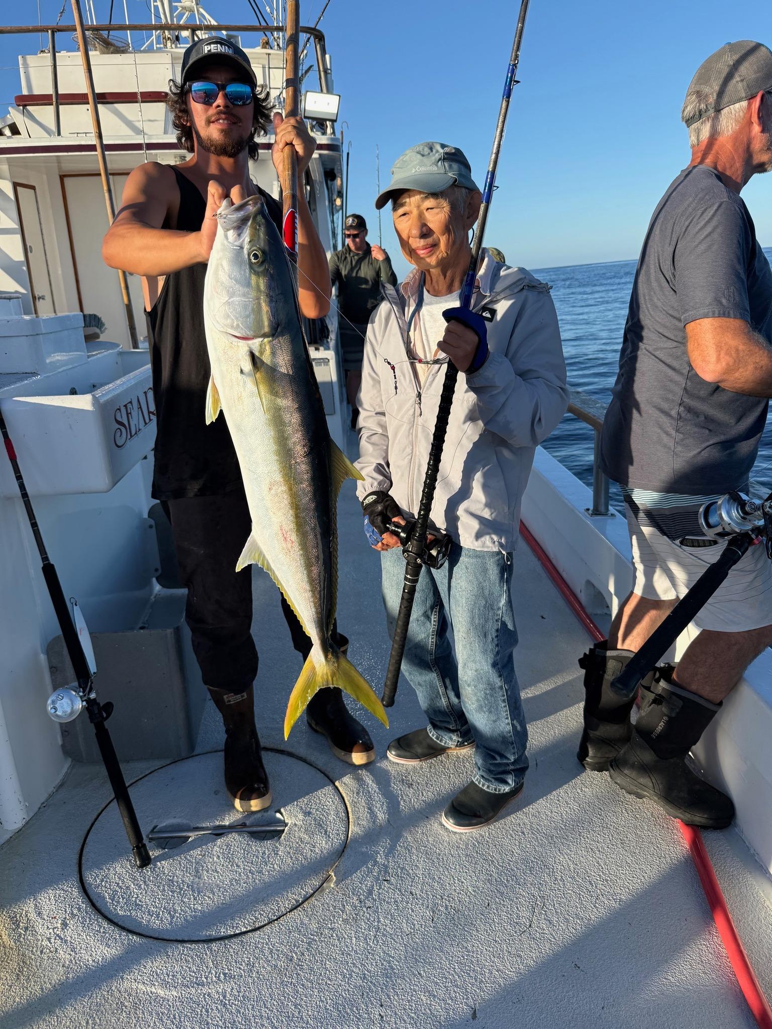 Yellowtail Fishing Yellowtail Fishing