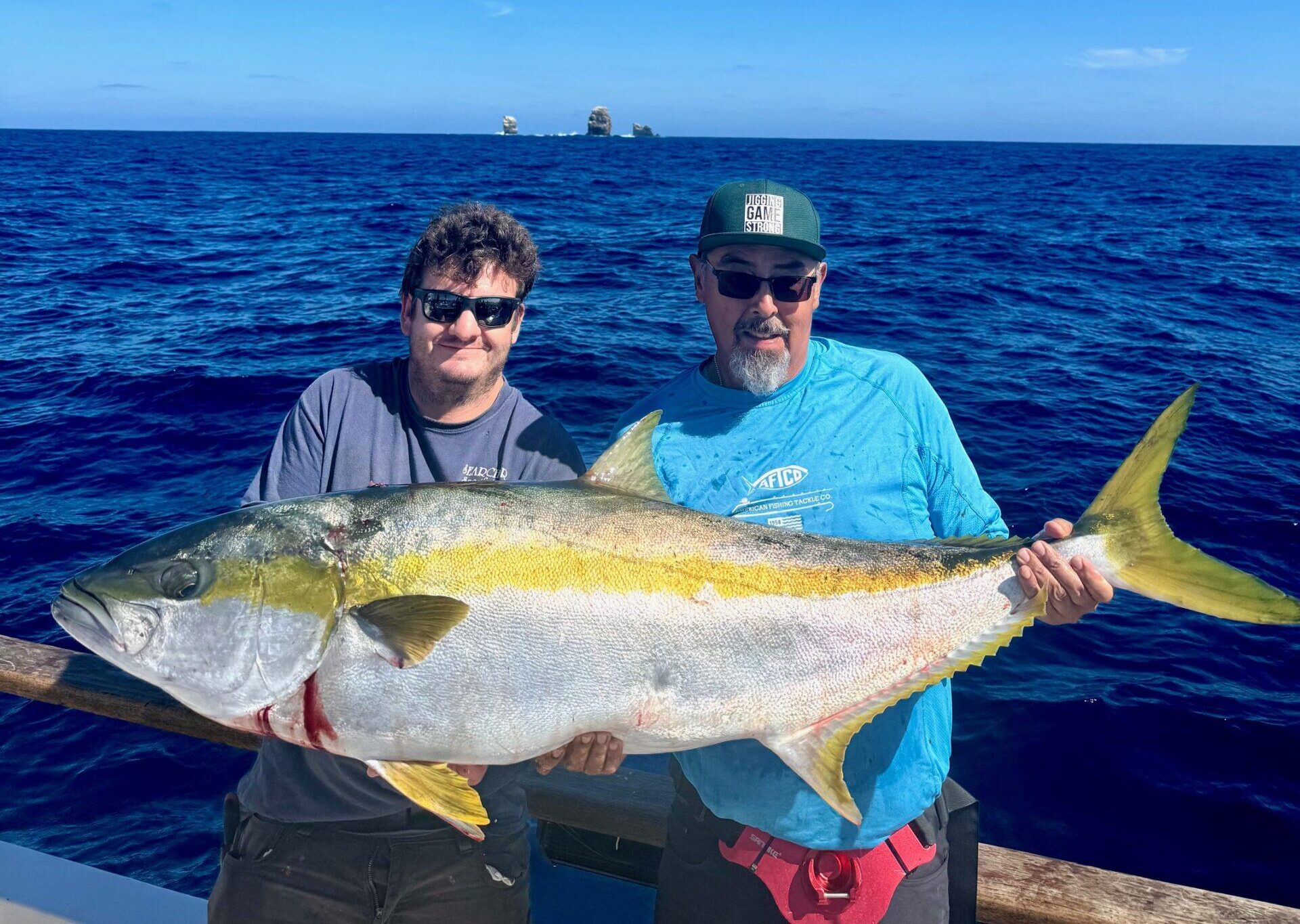 Big Yellowtail
