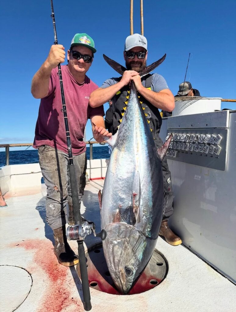 Bluefin Tuna Fishing