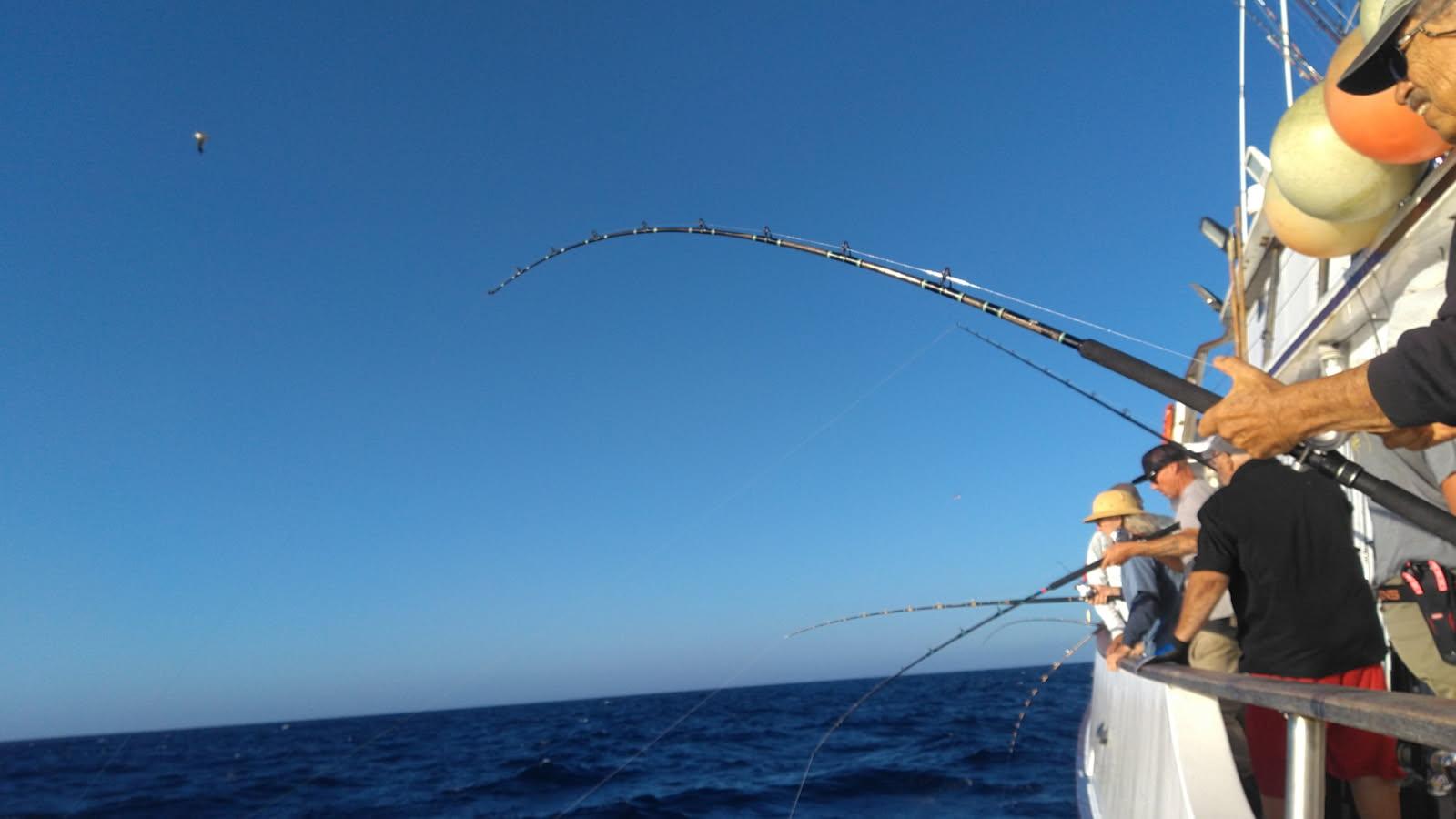 Fish off the boat