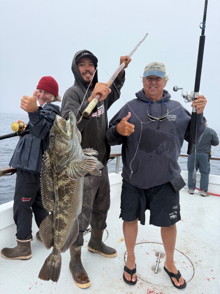 Lingcod