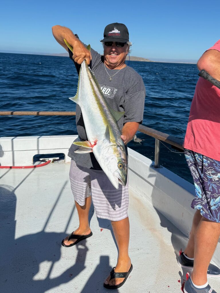 Yellowtail Fishing