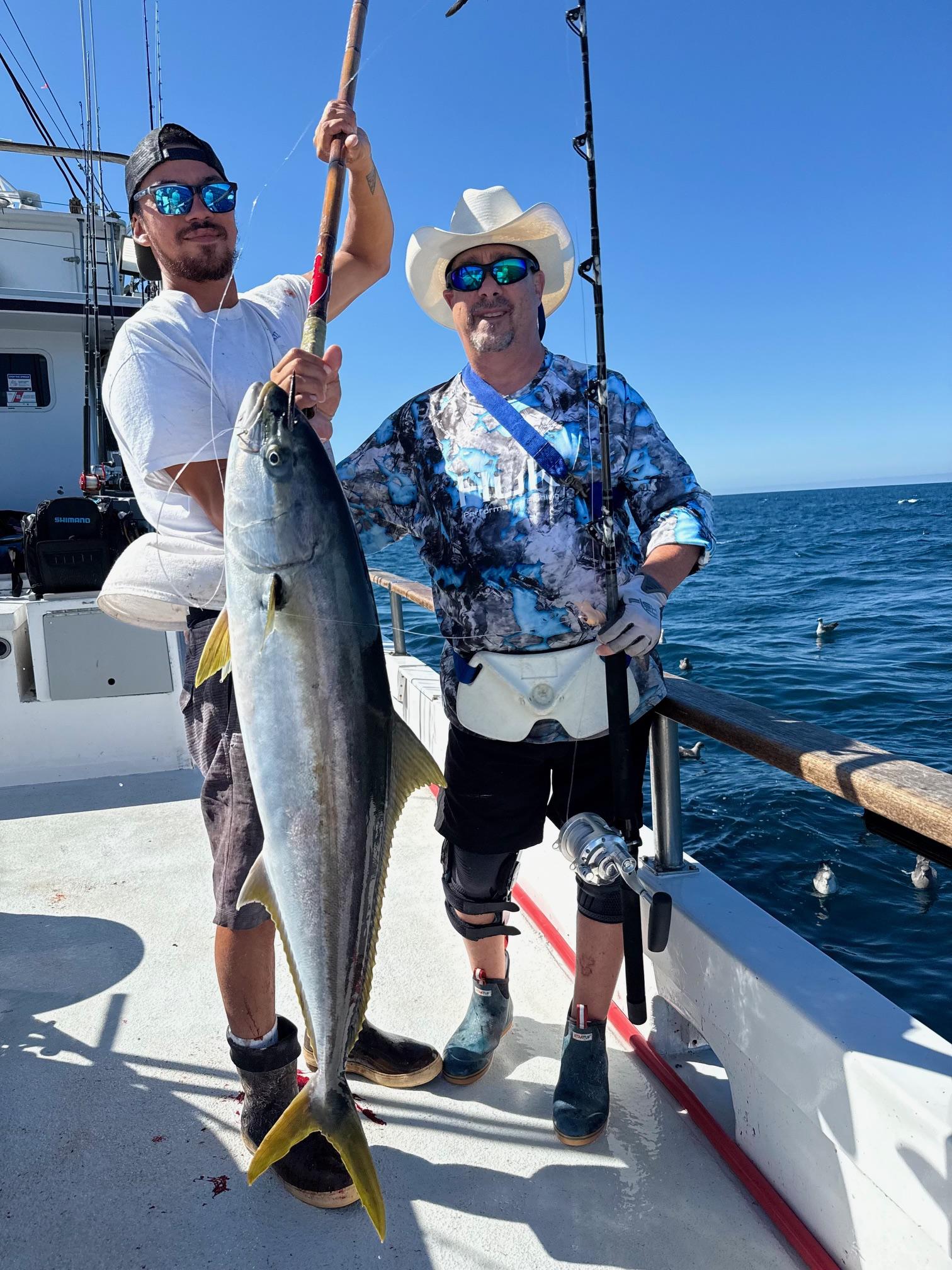 Yellowtail Fishing Yellowtail Fishing