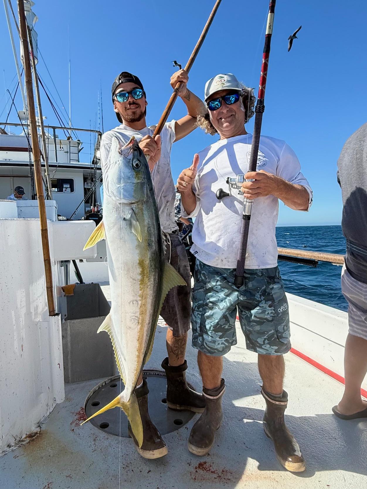 Yellowtail Fishing Yellowtail Fishing