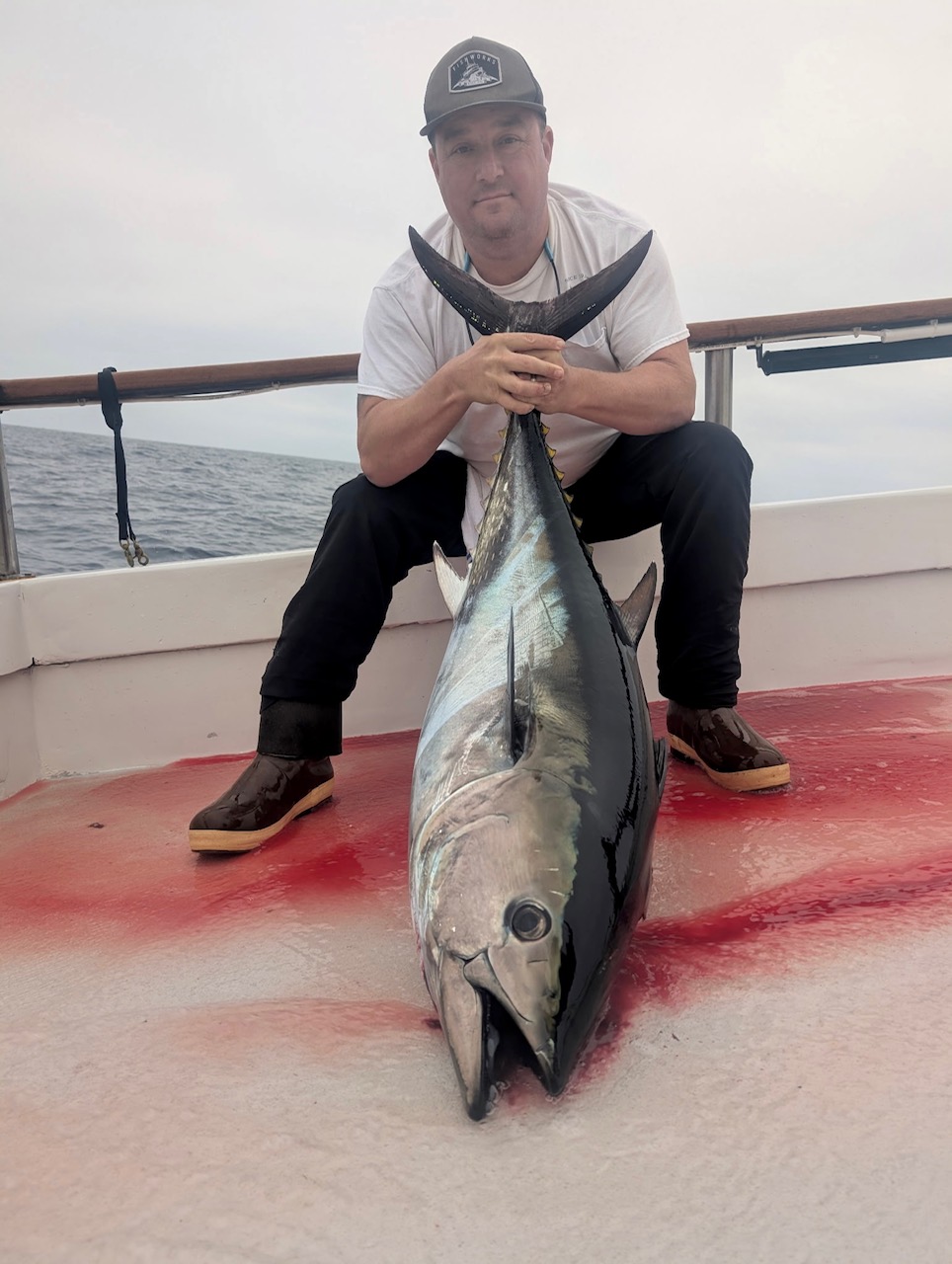 Bluefin Day Fishing