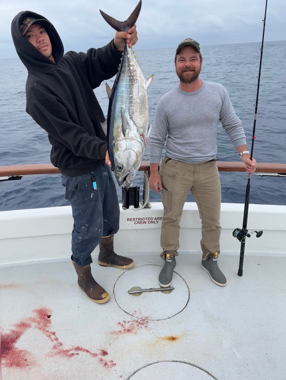 Yellowfin Tuna