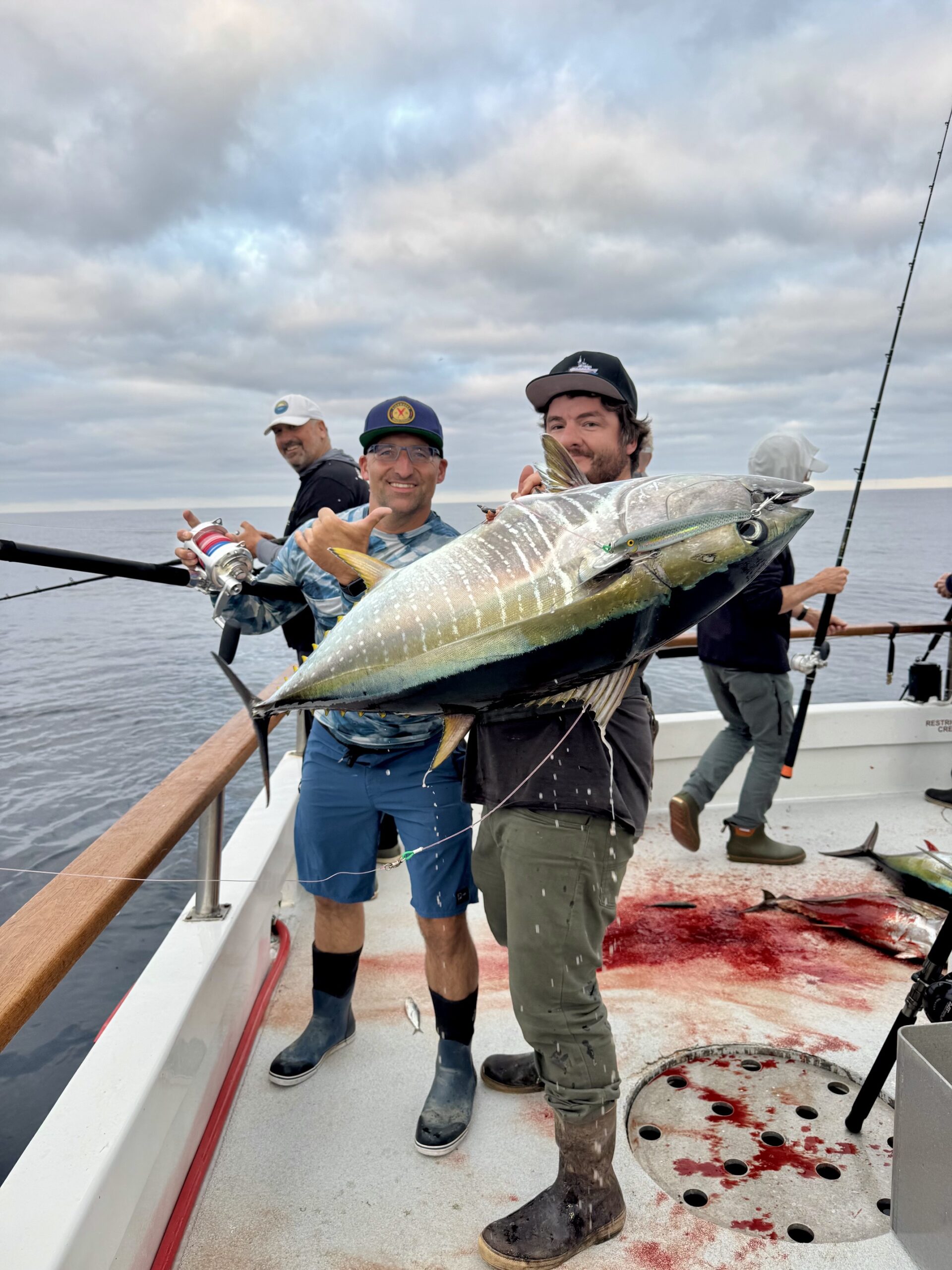 Yellowfin Tuna