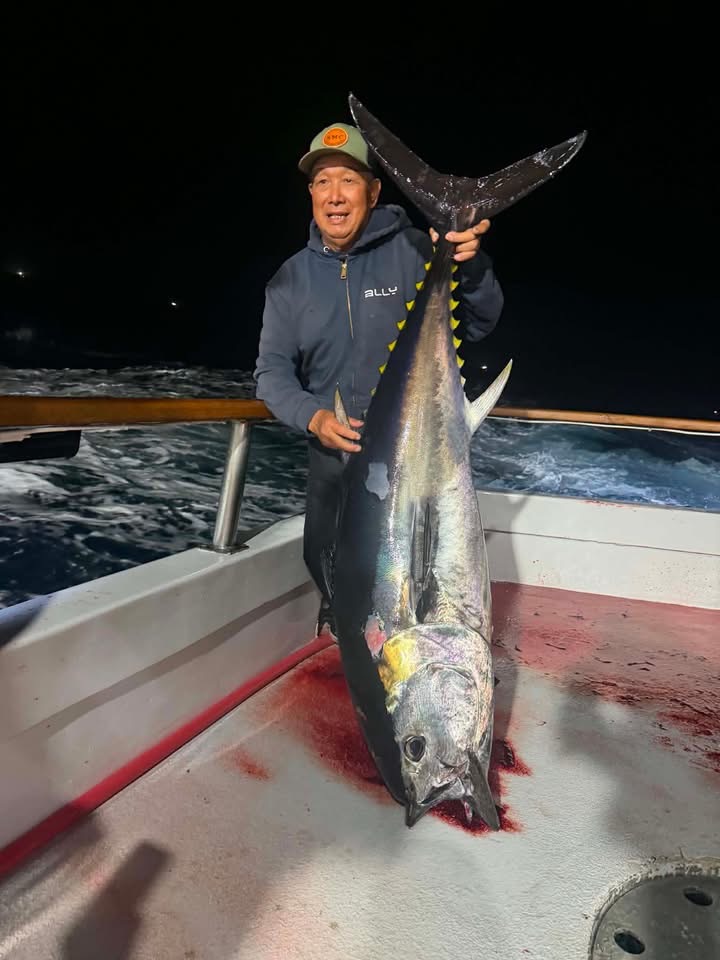 Night Fishing Bluefin