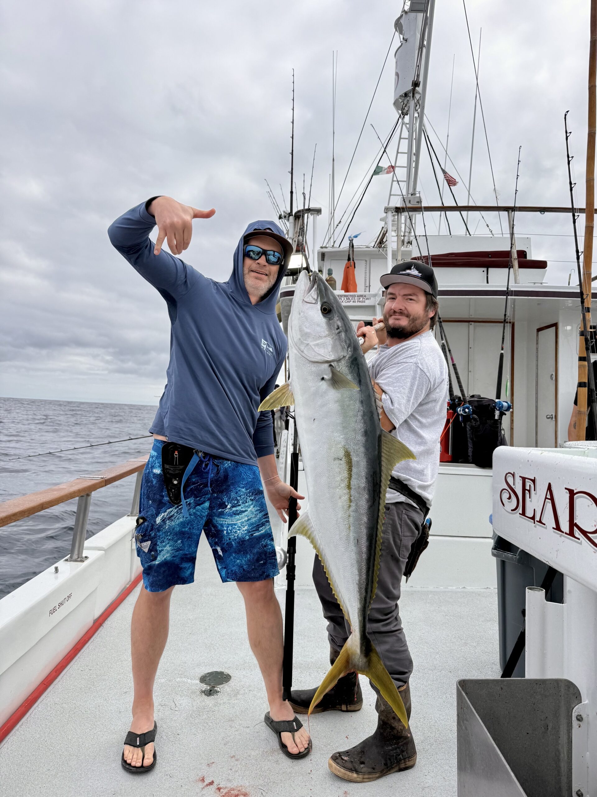 Yellowtail Fish