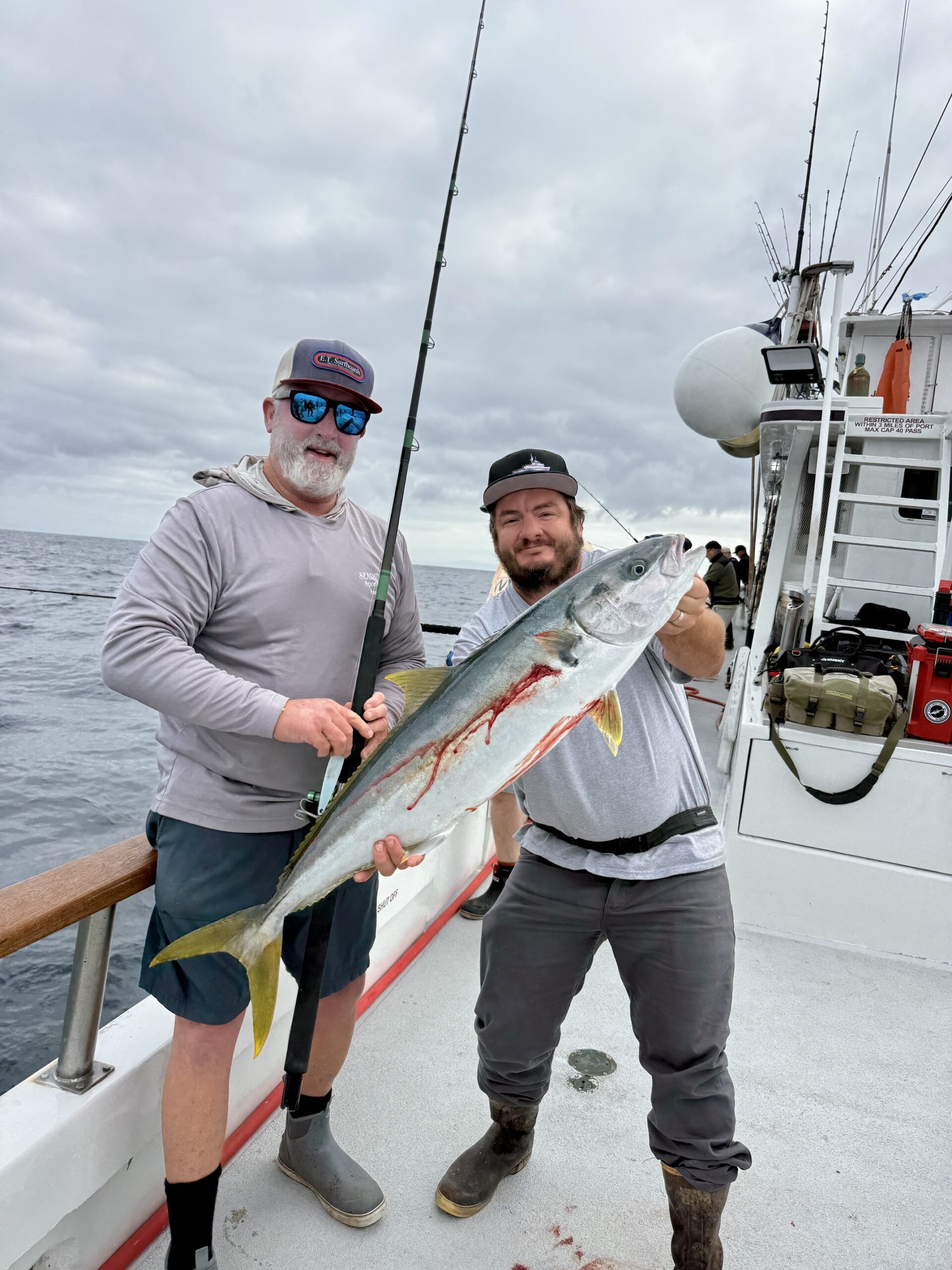 Yellowtail Fish
