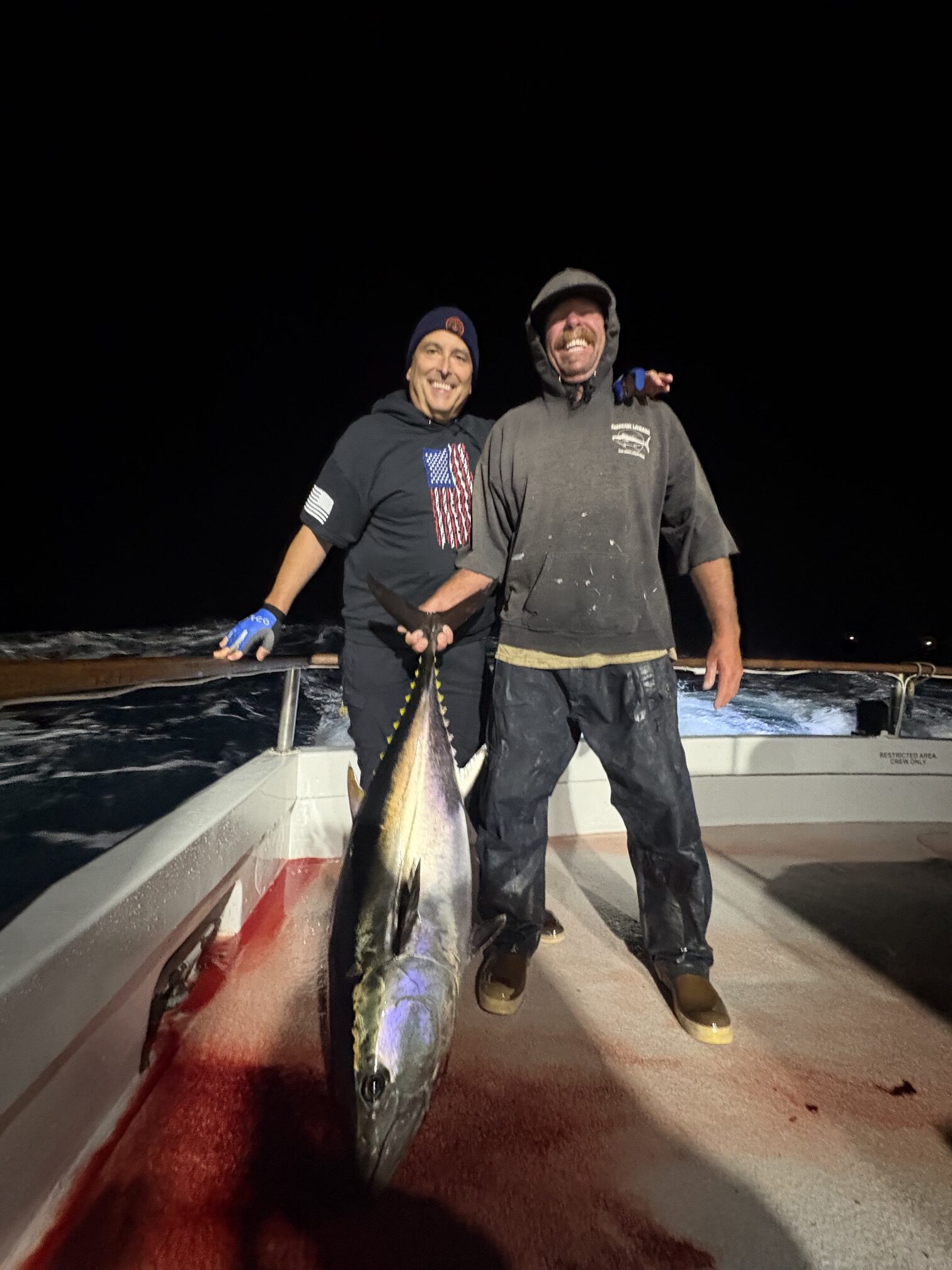 Bluefin Night Fishing
