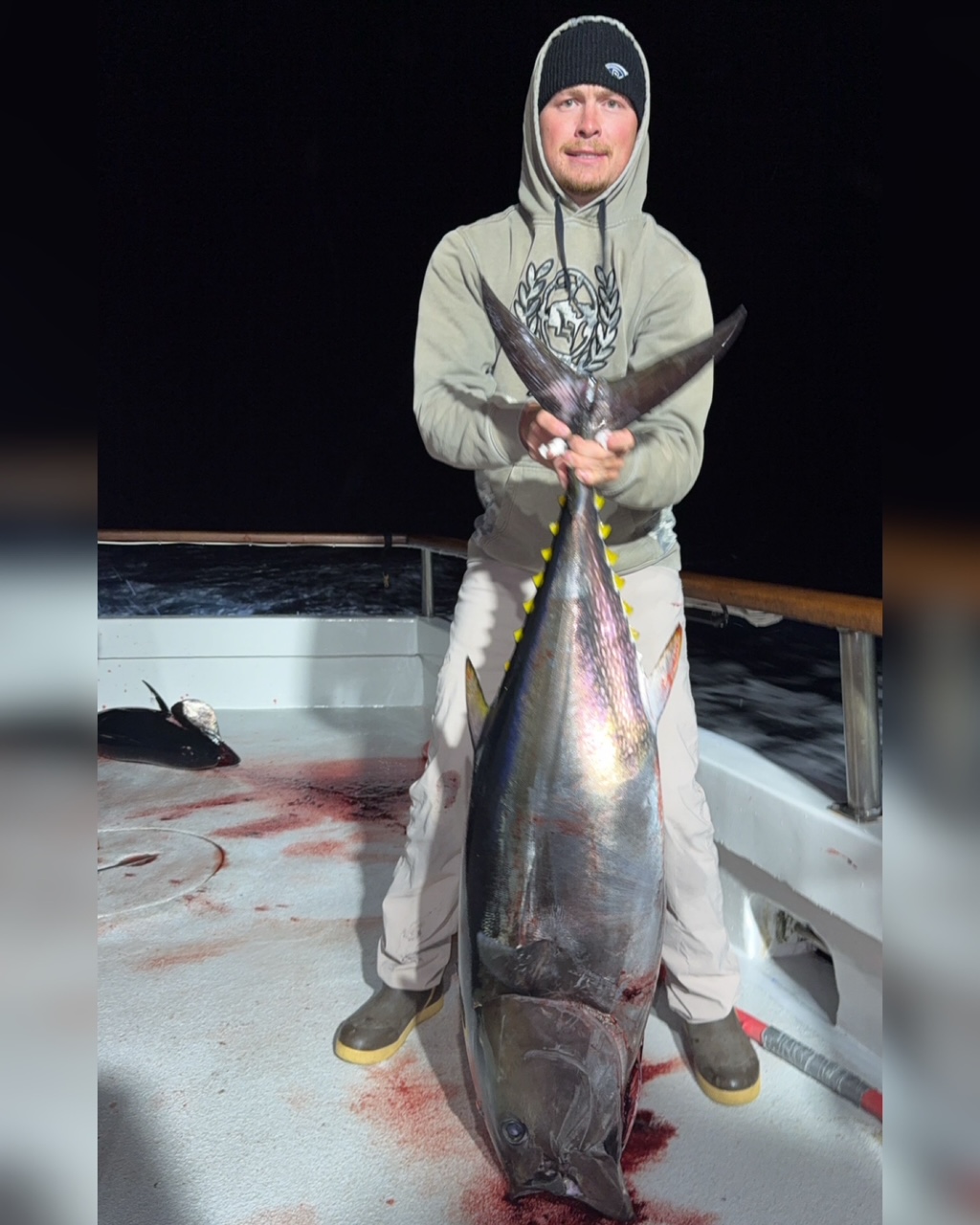 Bluefin Night Fishing