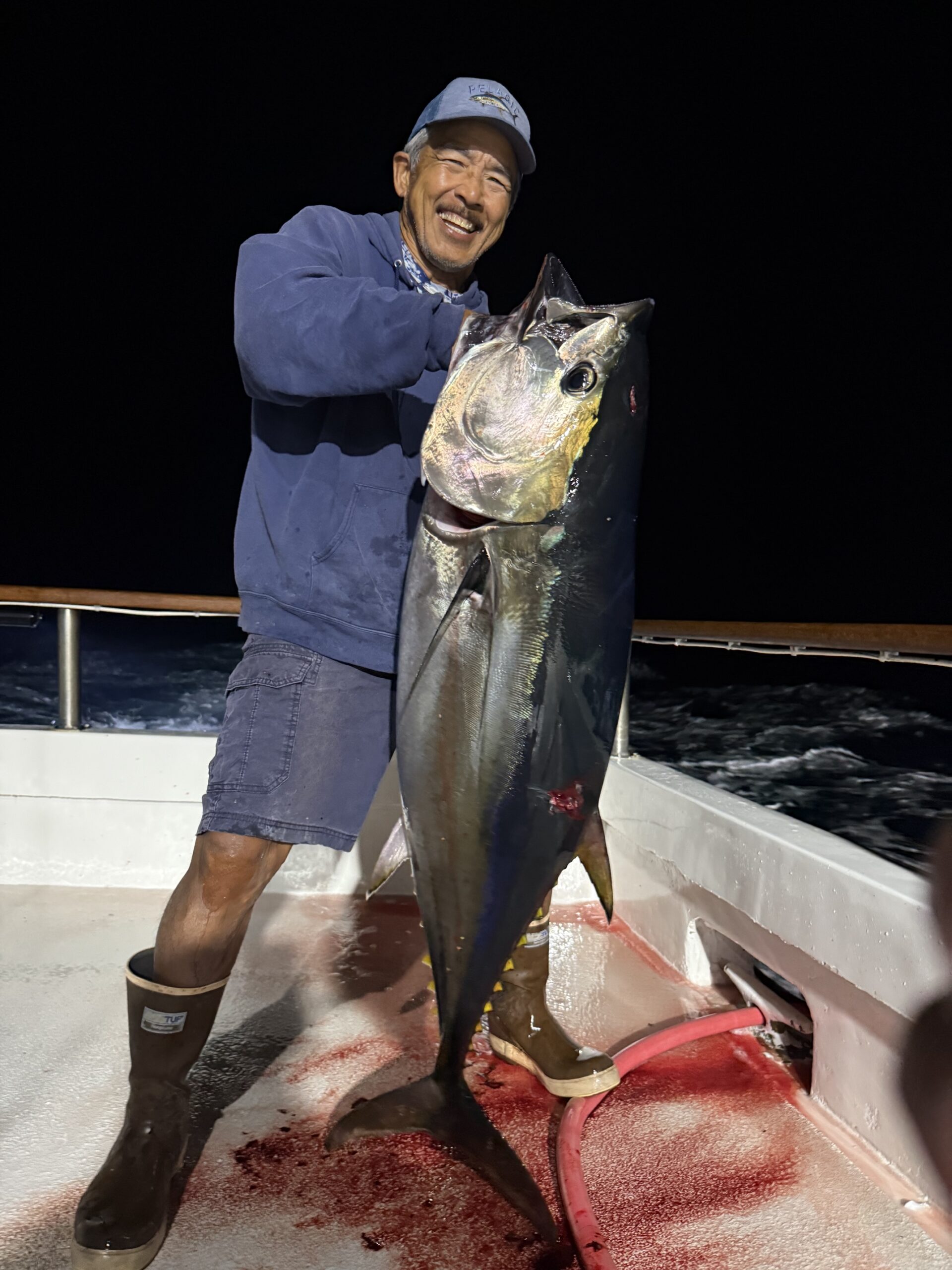 Bluefin Tuna