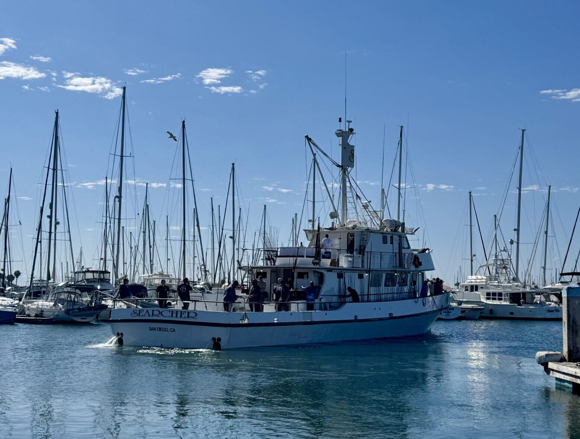 Searcher Boat Driving Out Fisherman's Landing