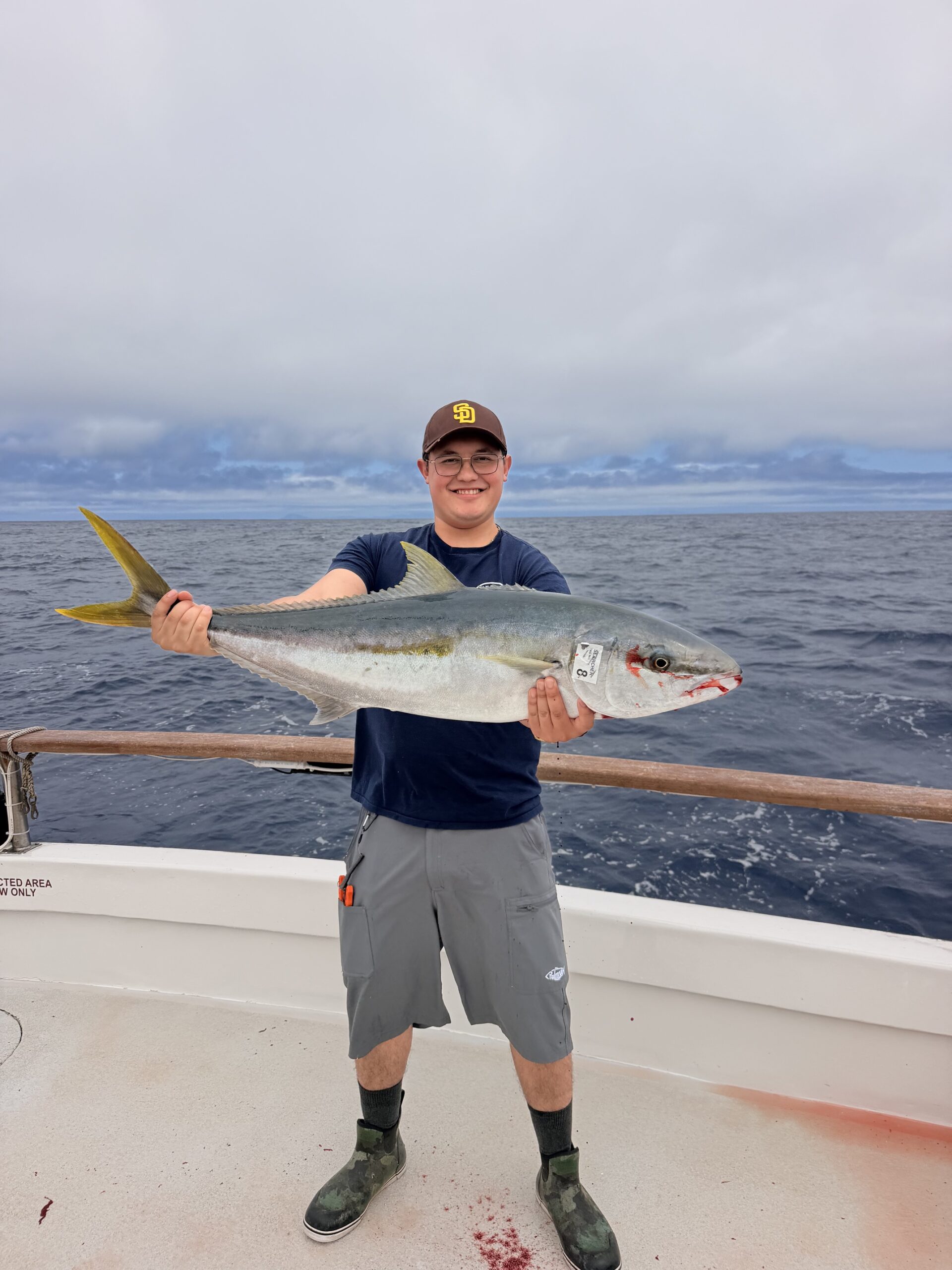 Yellowtail Fishing