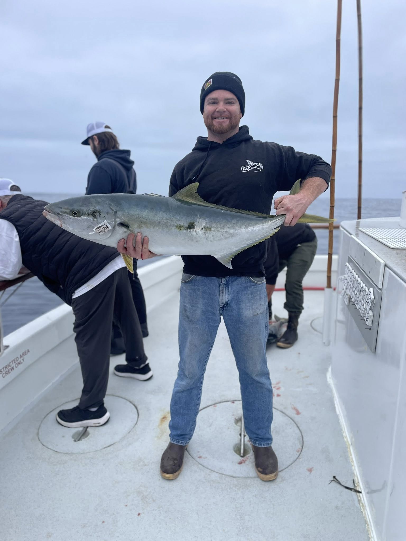 Yellowtail Fish
