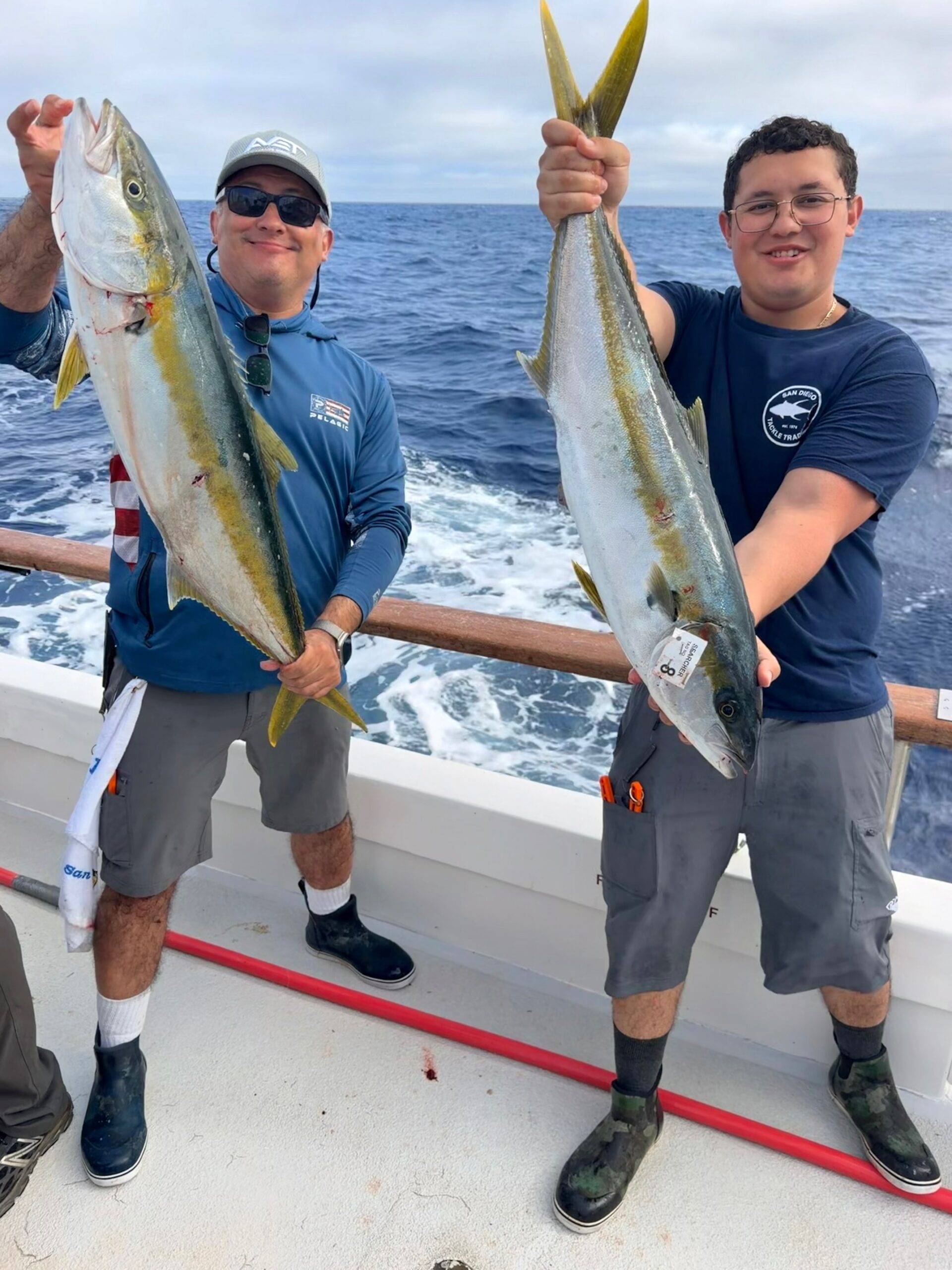 Yellowtail Fishing