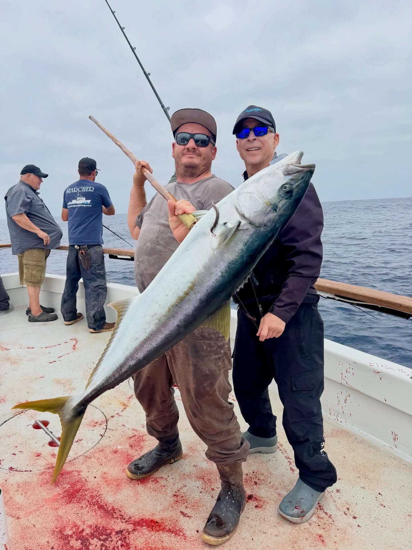 Yellowtail Fish