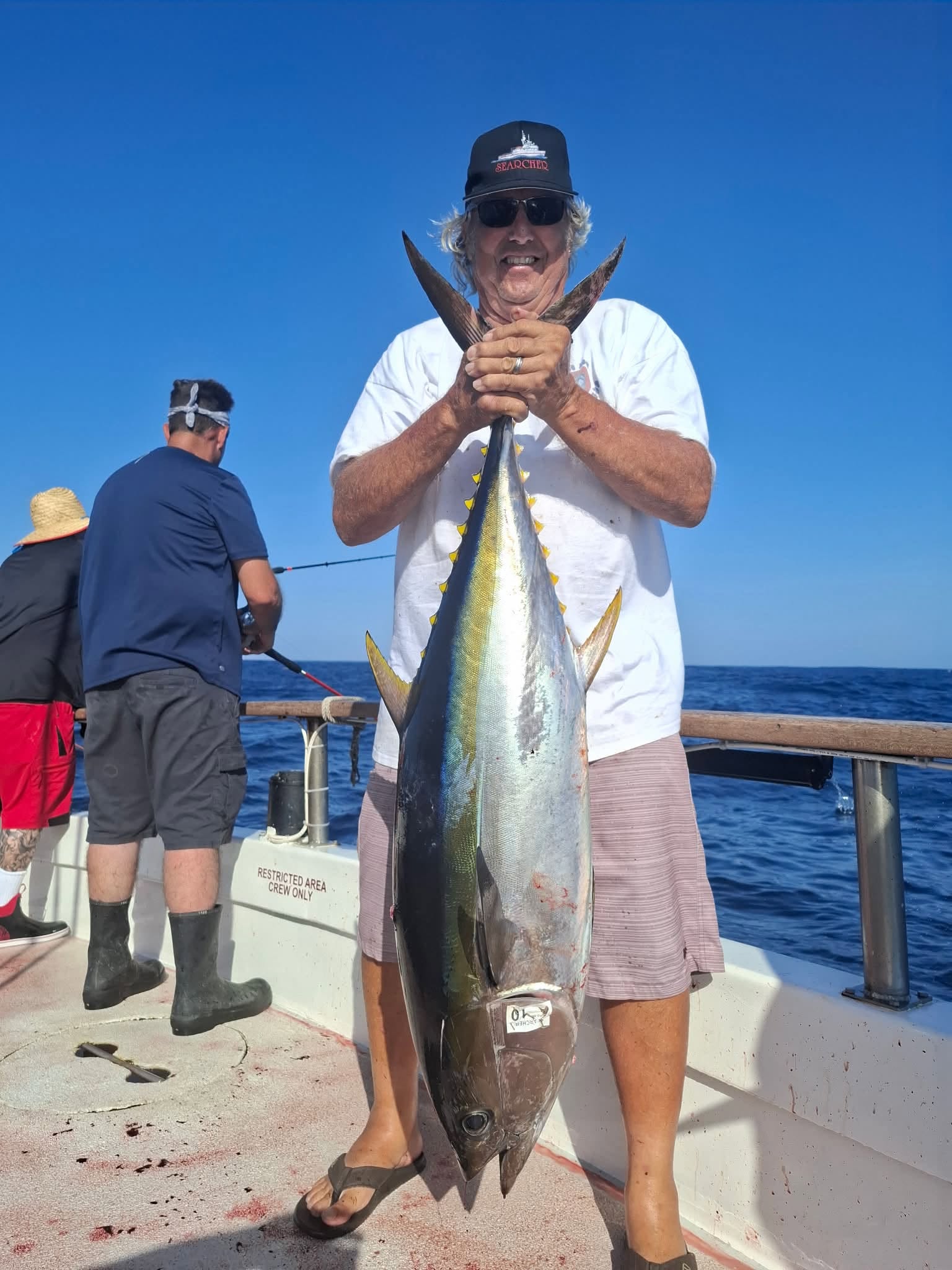 Allen Yellowtail Searcher Sportfishing Turner's & Izorline