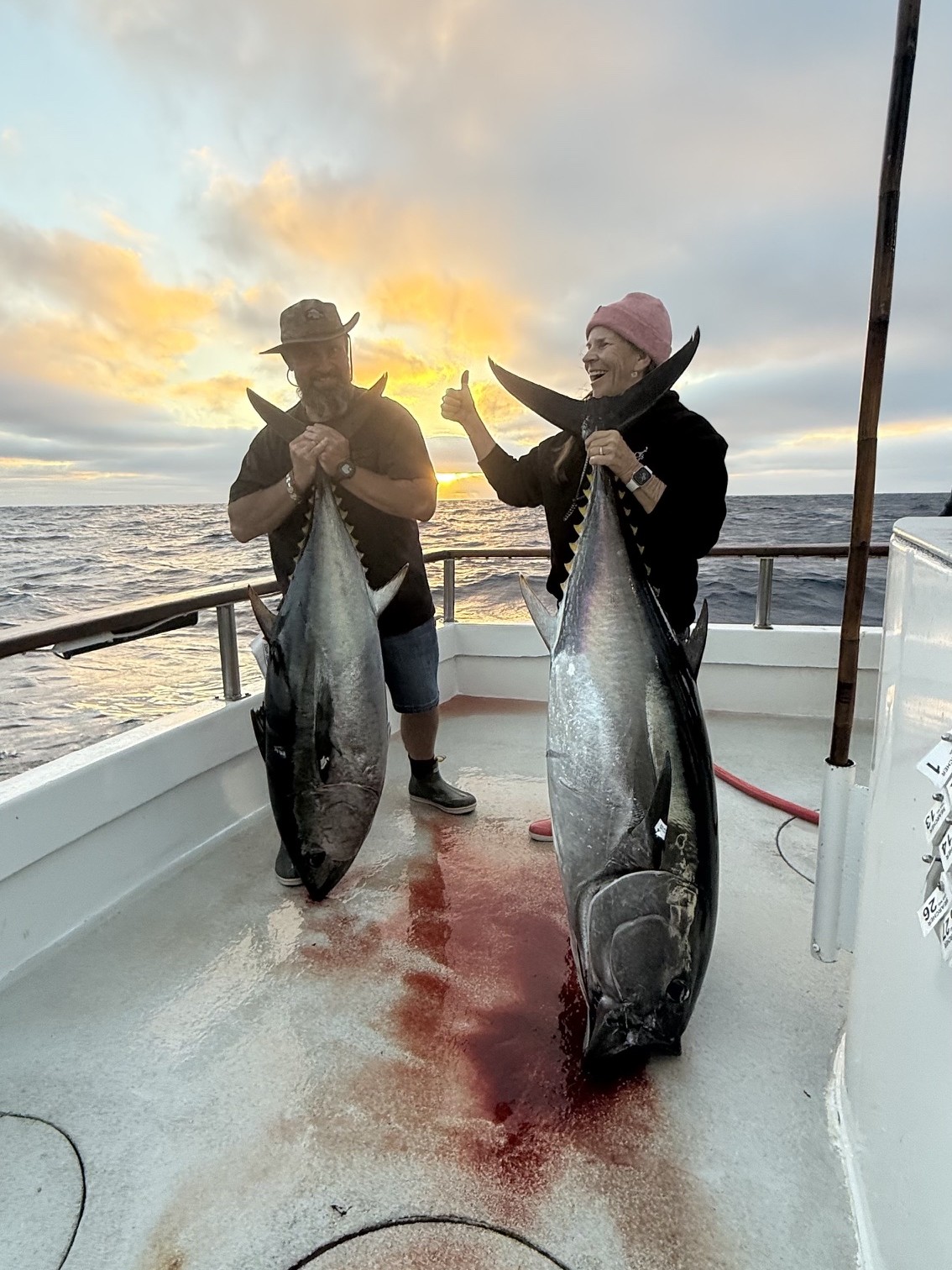 Bluefin Tuna Seeker Rods 2026 Angler
