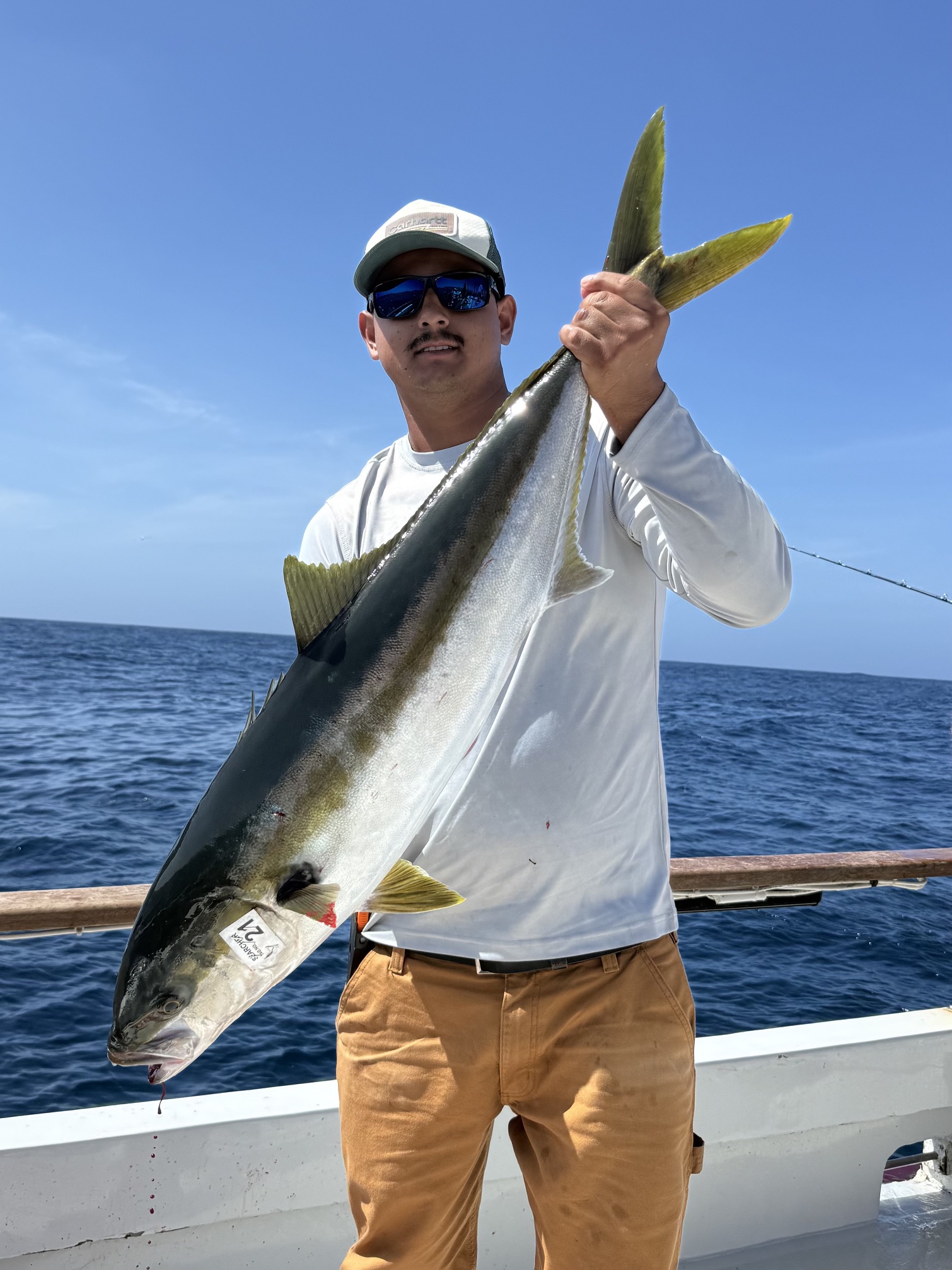 ishing the beach for yellowtail
