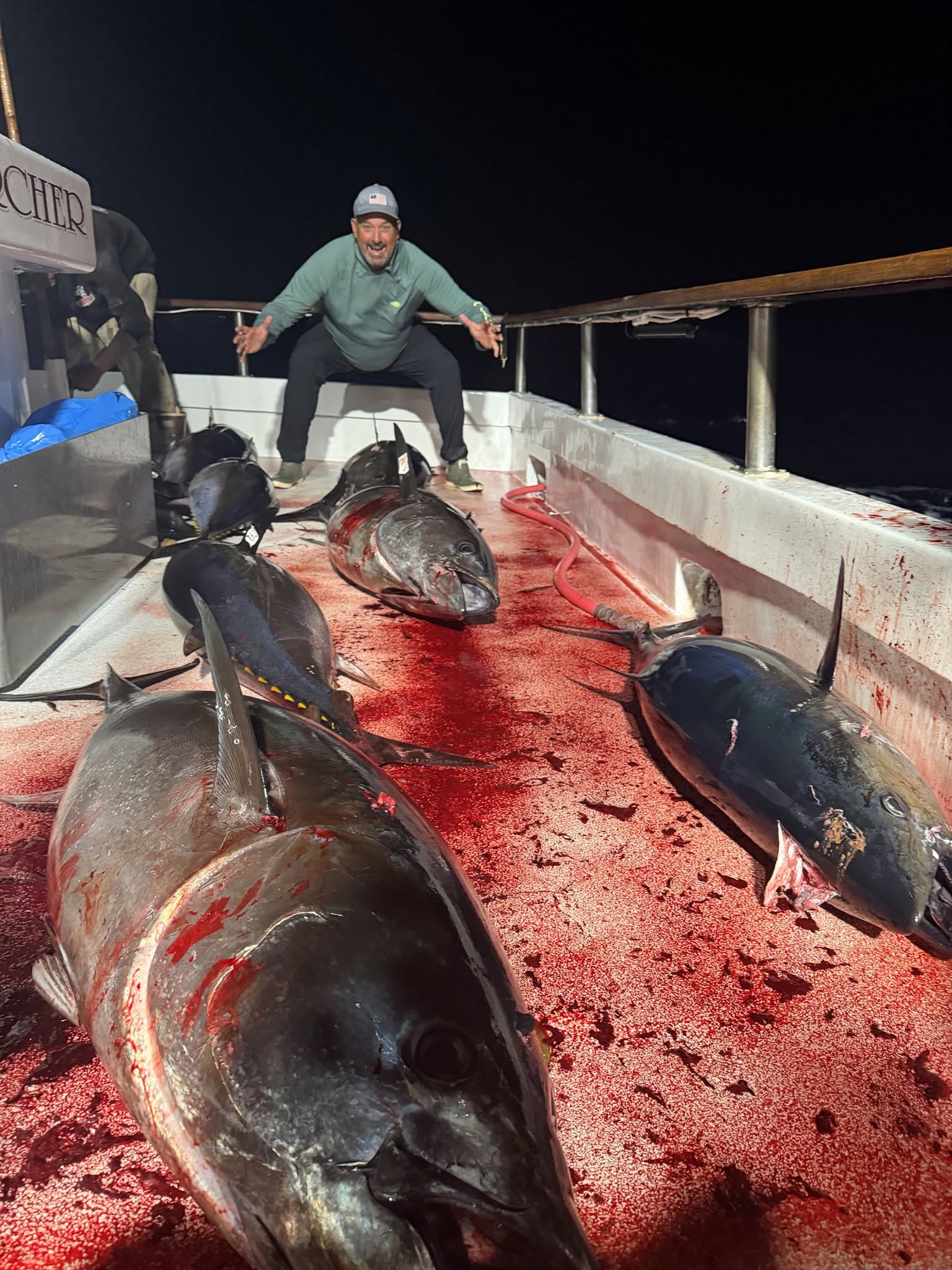 Multiple Bluefin Tuna