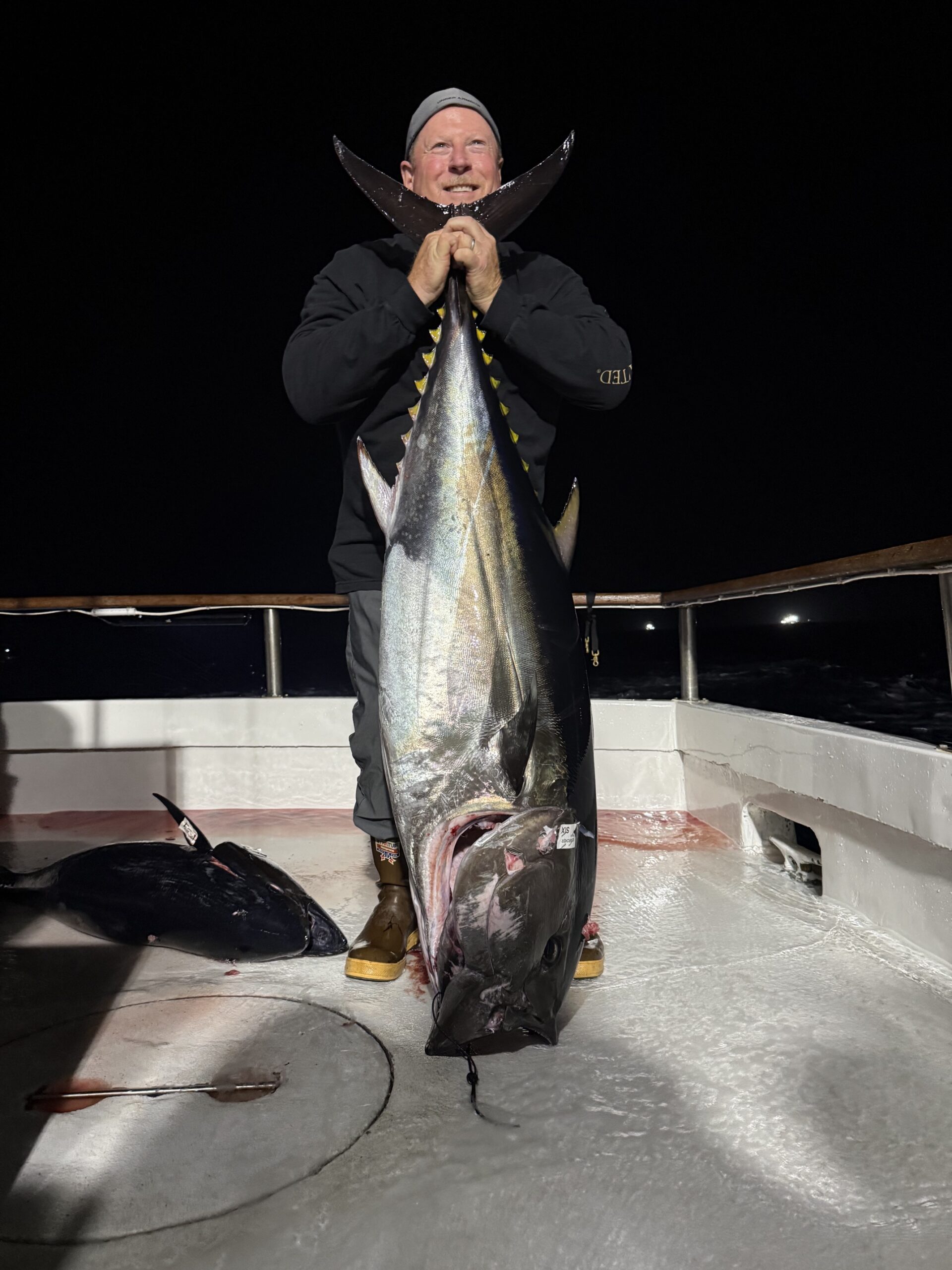 Searcher Angler Bluefin