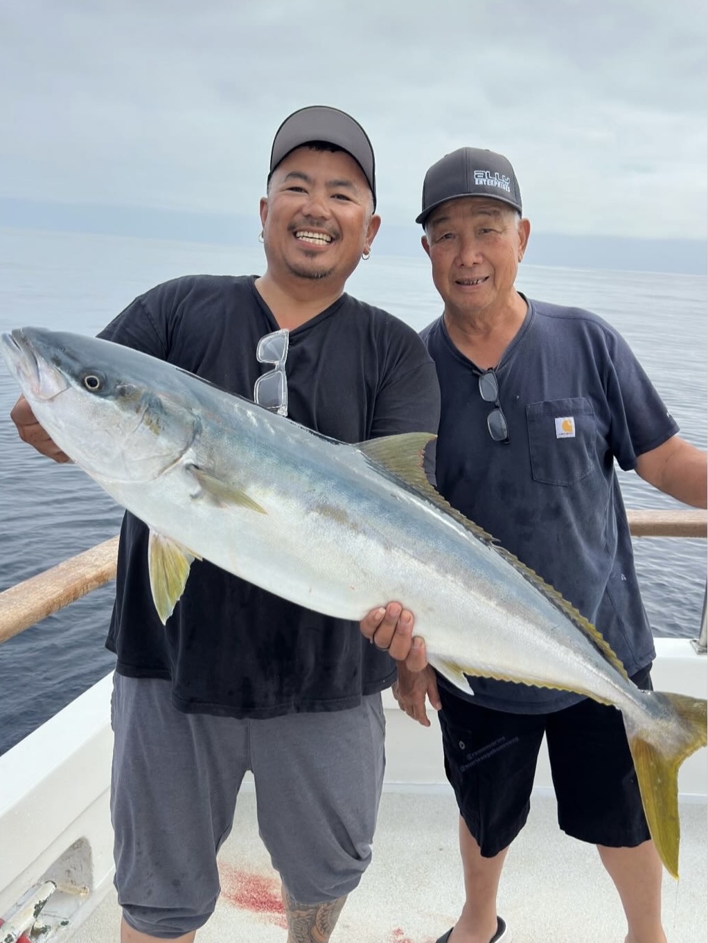 Searcher Yellowtail Mario John