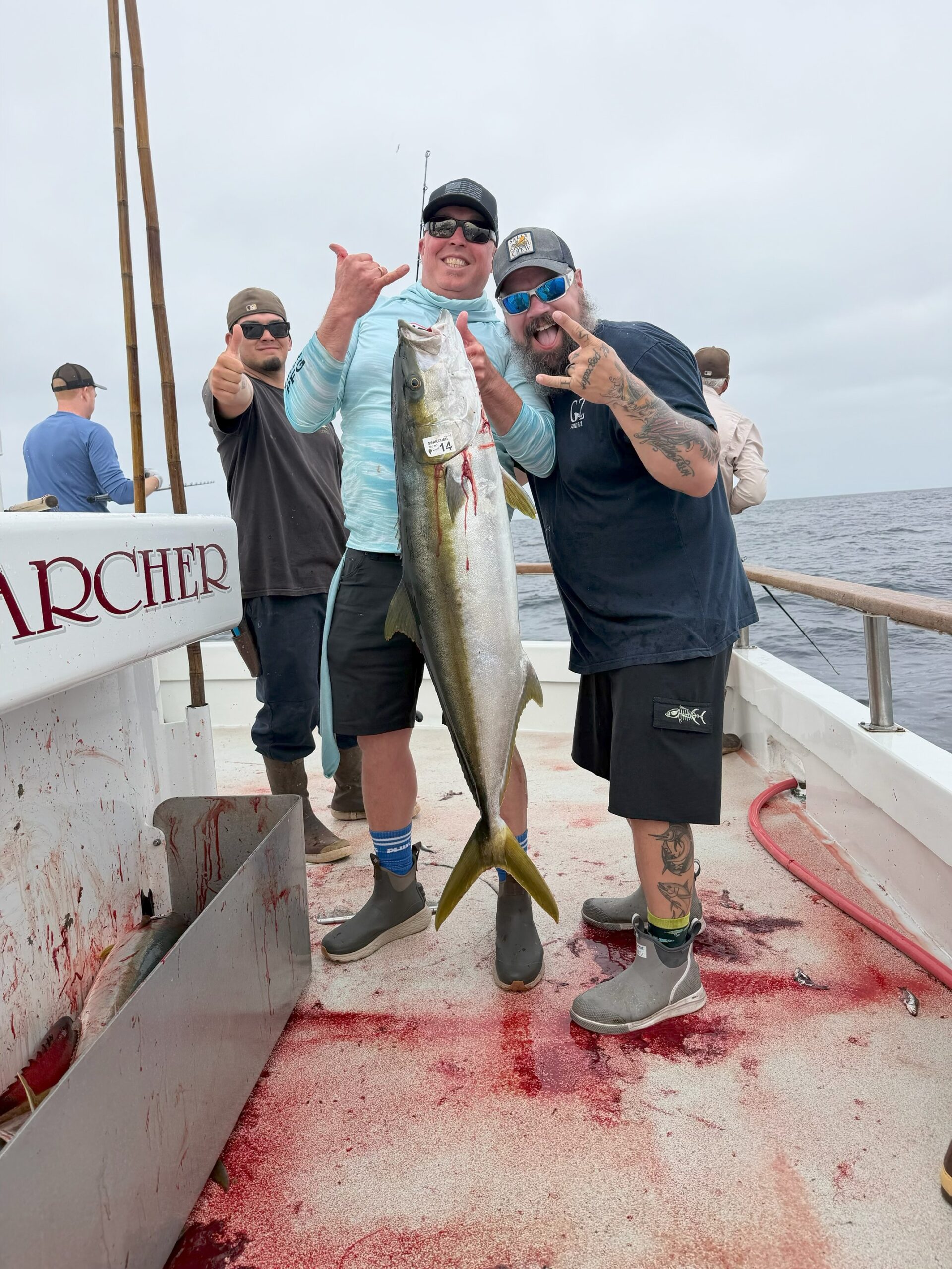 Yellowtail Fishing Searcher Carson Anglers