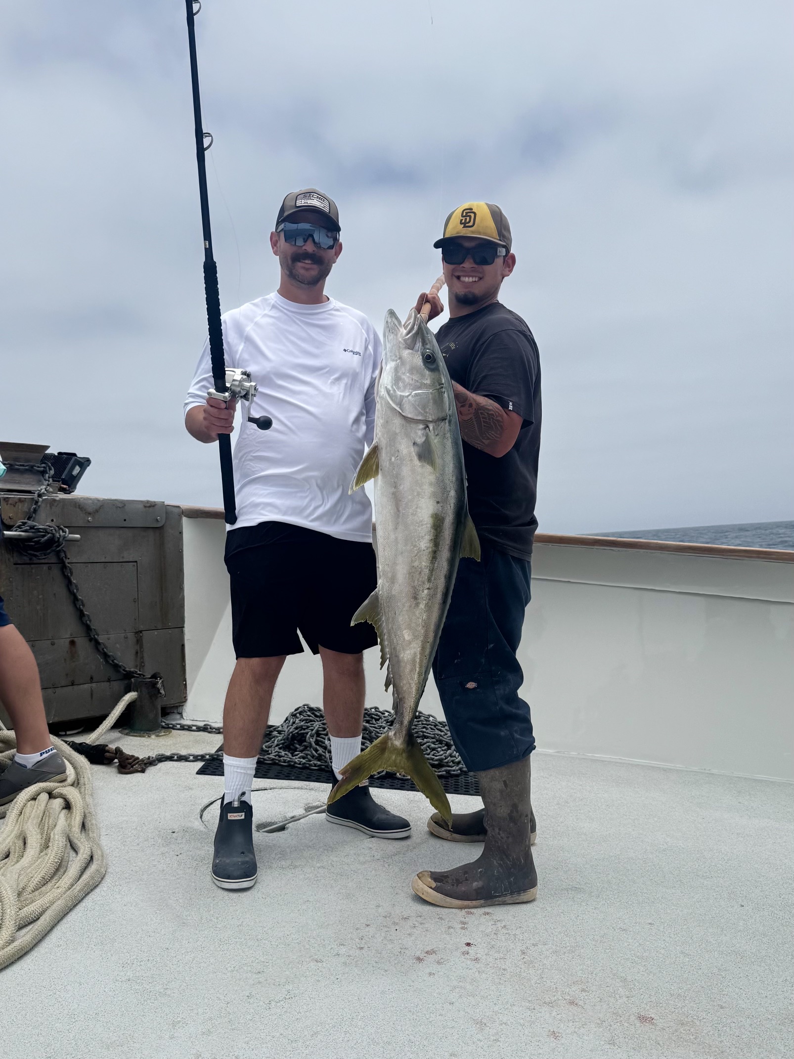 Yellowtail Fishing Searcher Carson