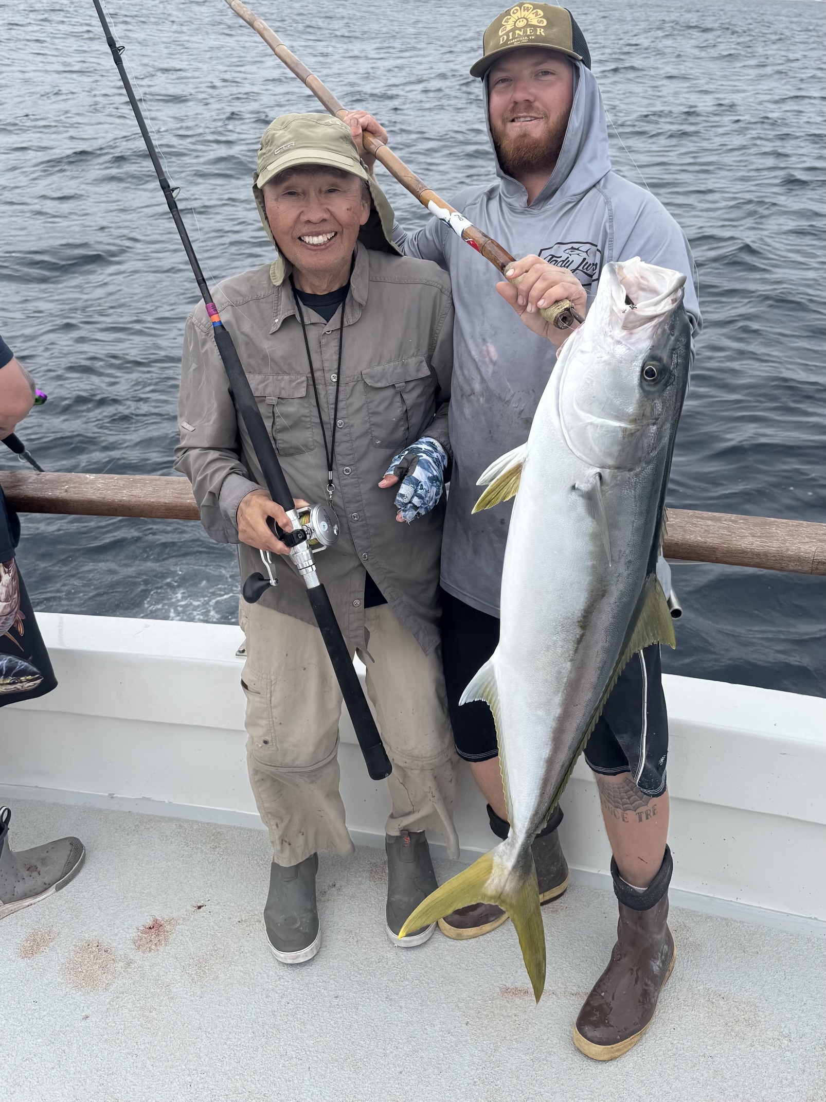 Yellowtail Fishing Searcher Kaden