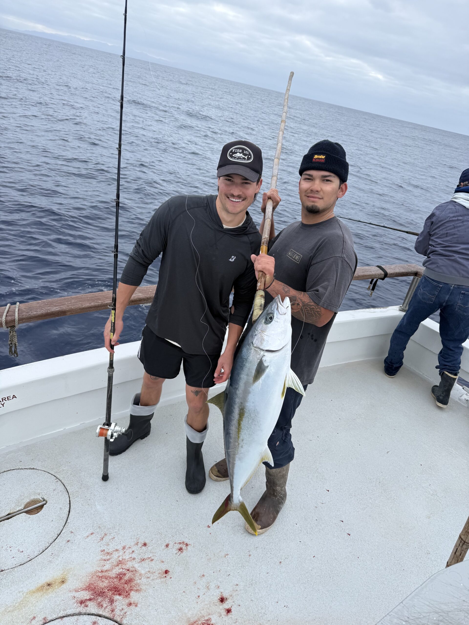 Yellowtail Fishing