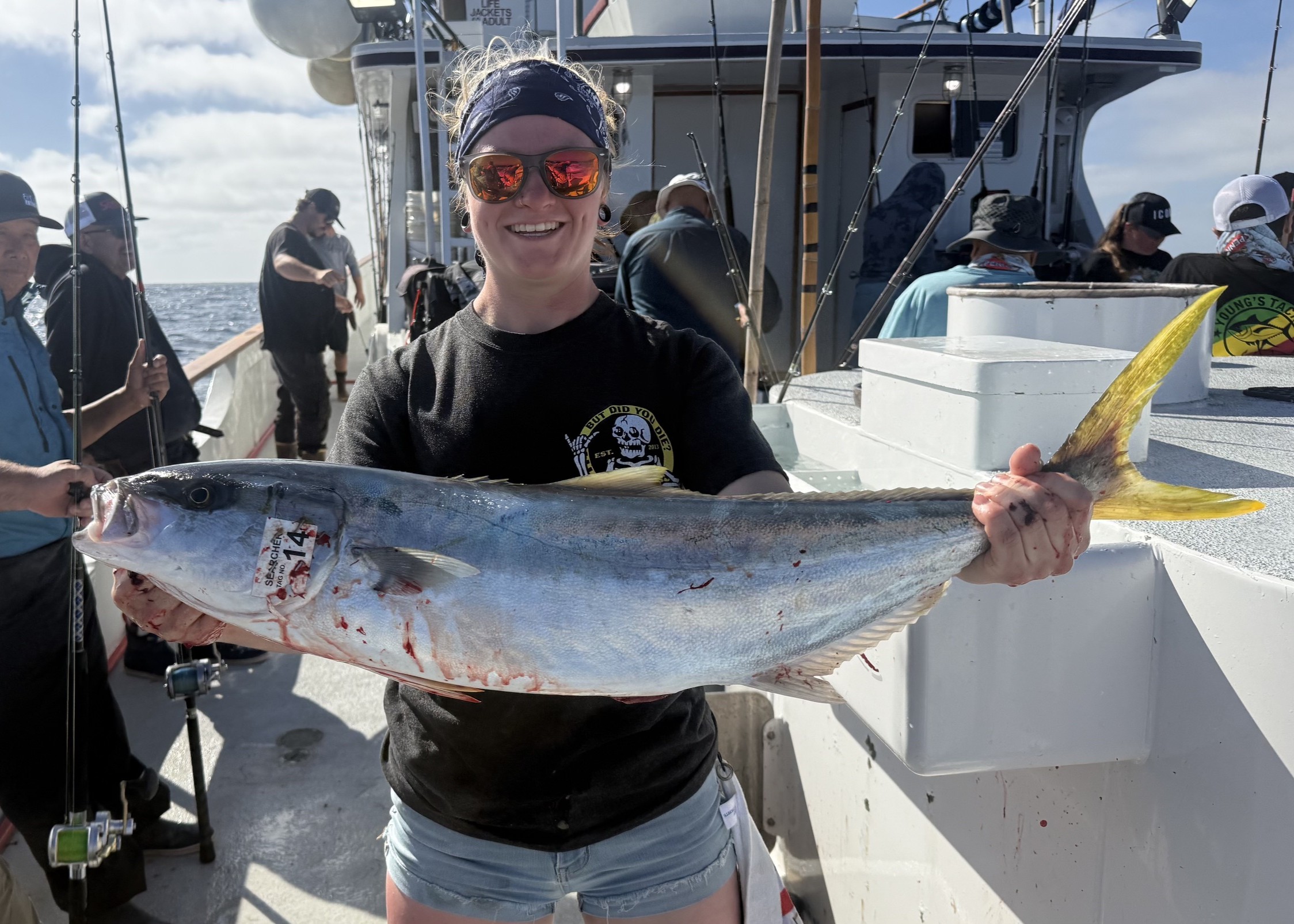 Yellowtail Seeker Rods
