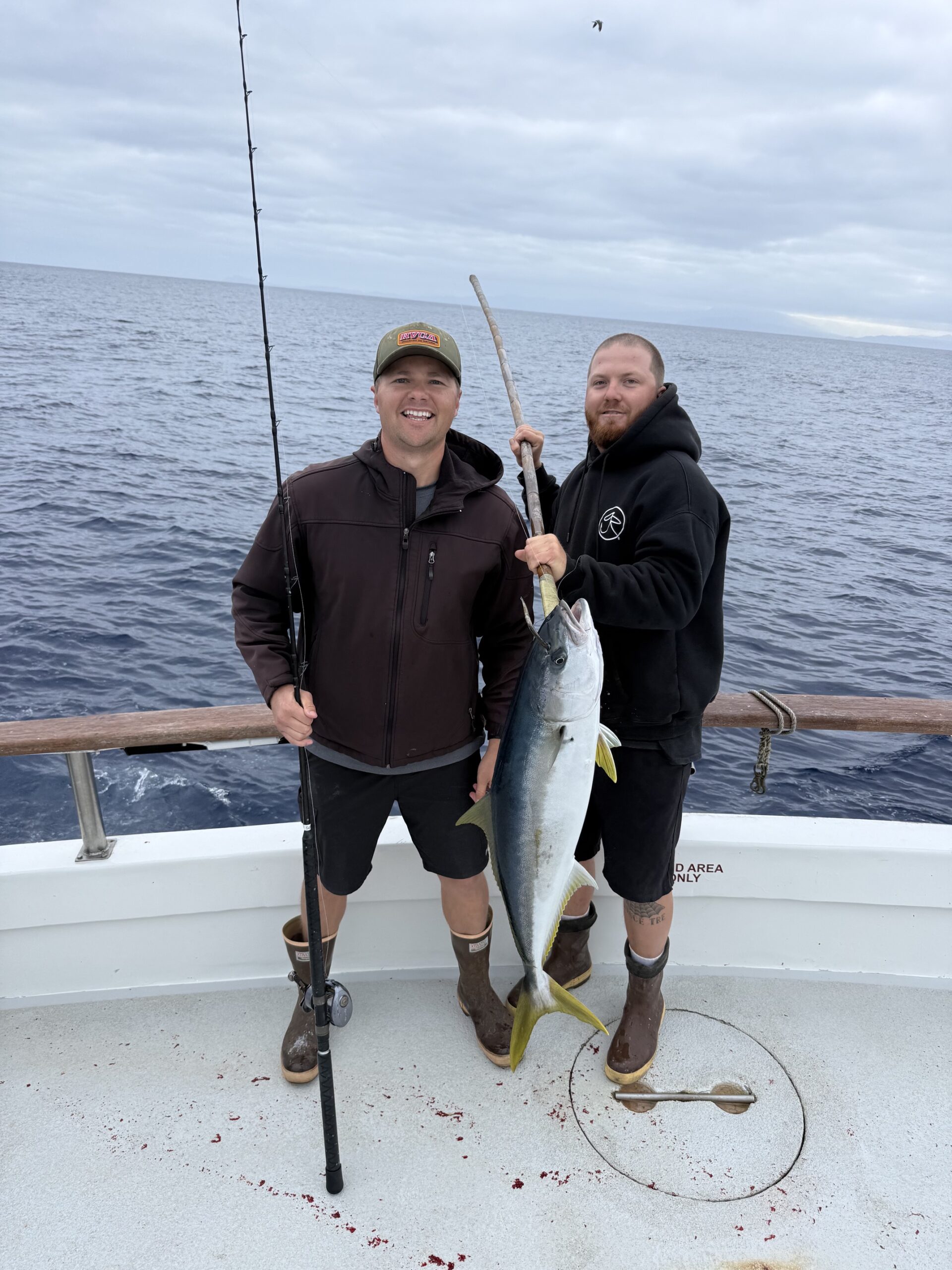 Yellowtail Fishing