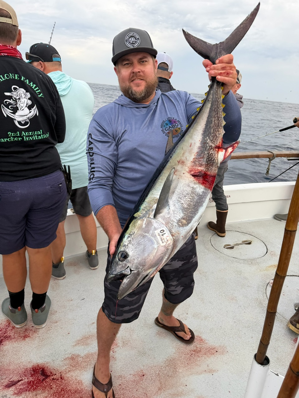 Searcher Angler Bluefin Fish
